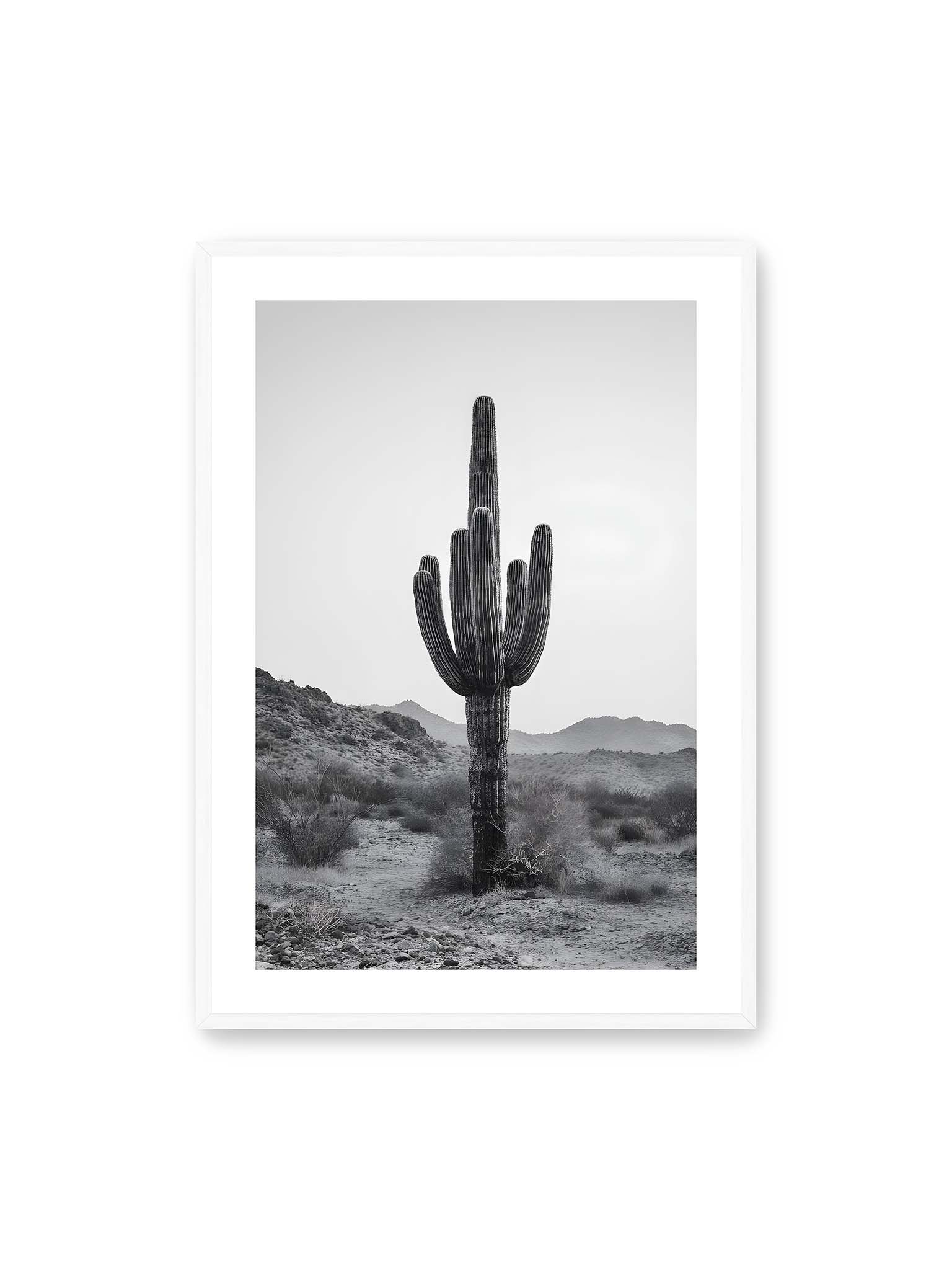 70x100 cm, weißer Galerie-Rand, weißer Rahmen – Einzelner hoher Kaktus in monochromer Wüstenlandschaft mit Bergen im Hintergrund.