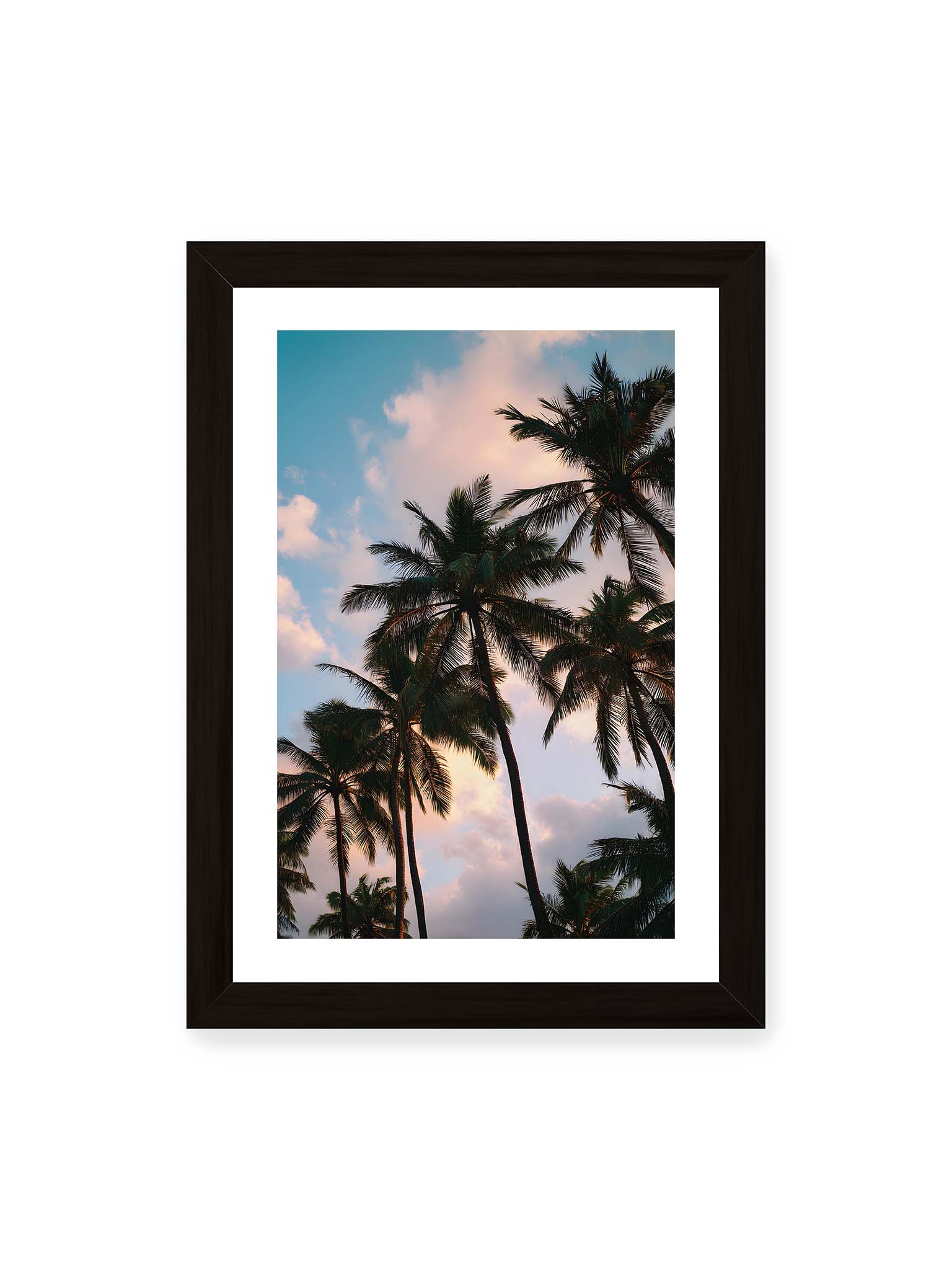 21x30 cm, weißer Galerie-Rand, schwarzer Rahmen – Hohe tropische Palmen ragen in einen weichen Himmel mit Wolken und warmem Licht zwischen den Blättern.