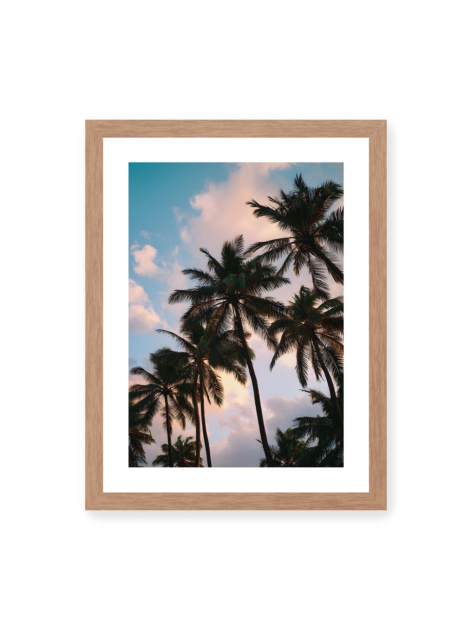 30x40 cm, weißer Galerie-Rand, Eichenrahmen – Hohe tropische Palmen ragen in einen weichen Himmel mit Wolken und warmem Licht zwischen den Blättern.