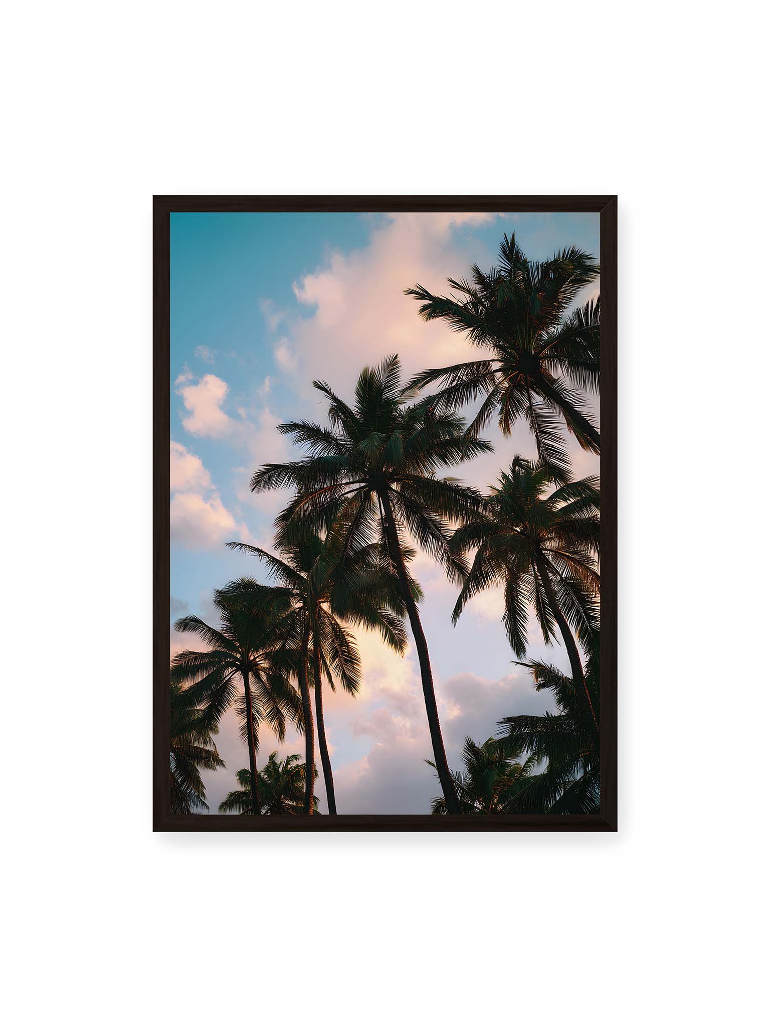 50x70 cm, schwarzer Rahmen – Hohe tropische Palmen ragen in einen weichen Himmel mit Wolken und warmem Licht zwischen den Blättern.