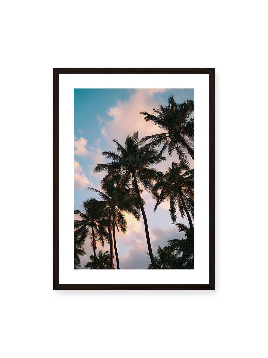 Sky Between Palms
