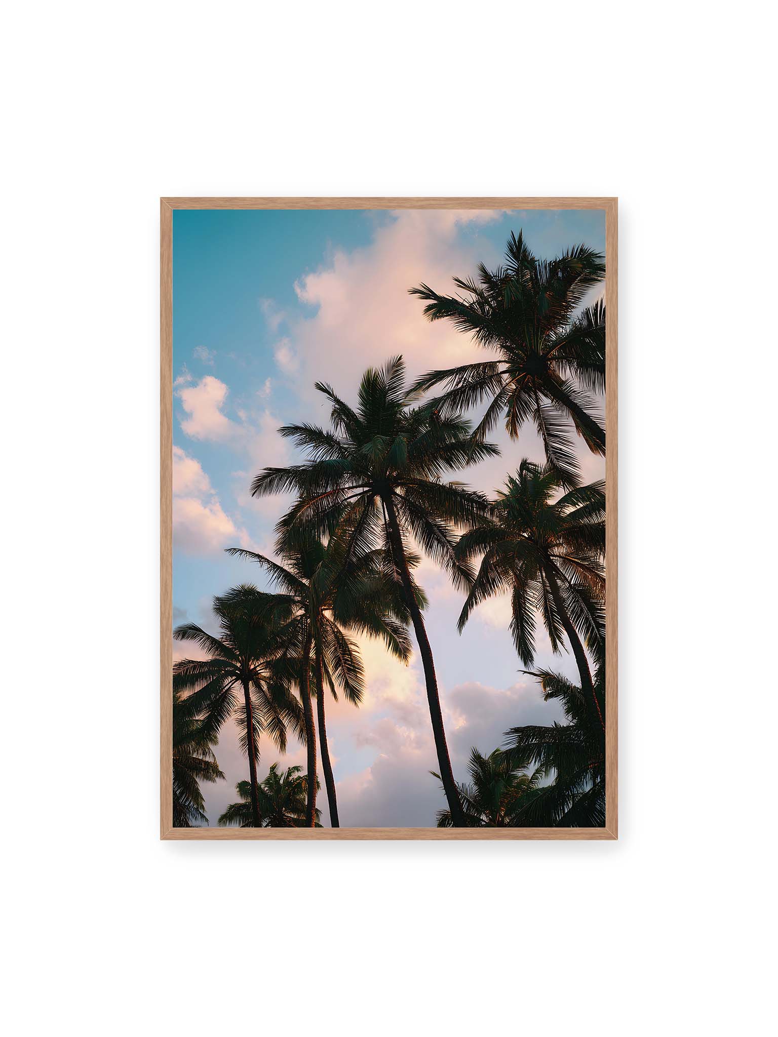 70x100 cm, Eichenrahmen – Hohe tropische Palmen ragen in einen weichen Himmel mit Wolken und warmem Licht zwischen den Blättern.