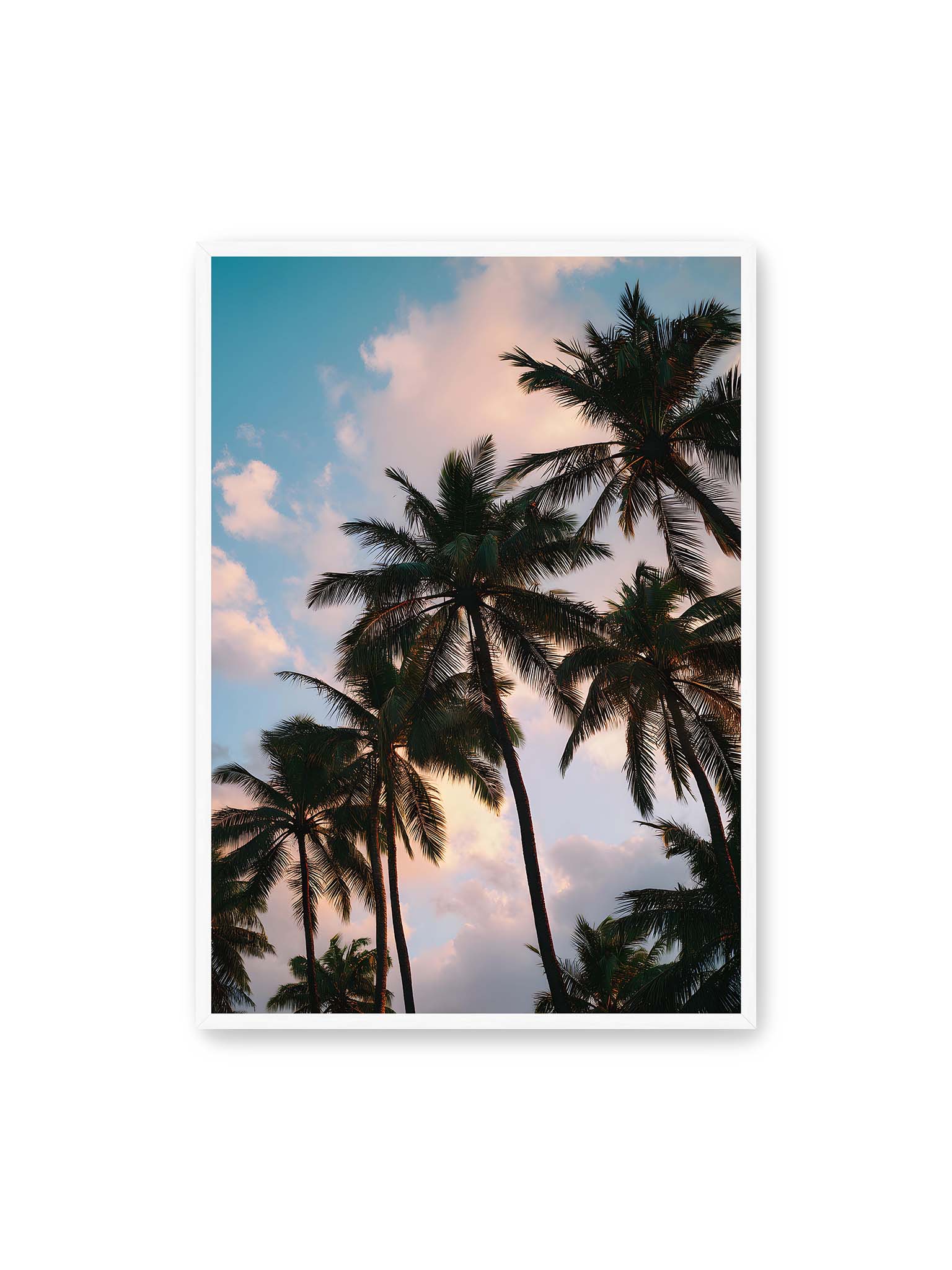 70x100 cm, weißer Rahmen – Hohe tropische Palmen ragen in einen weichen Himmel mit Wolken und warmem Licht zwischen den Blättern.