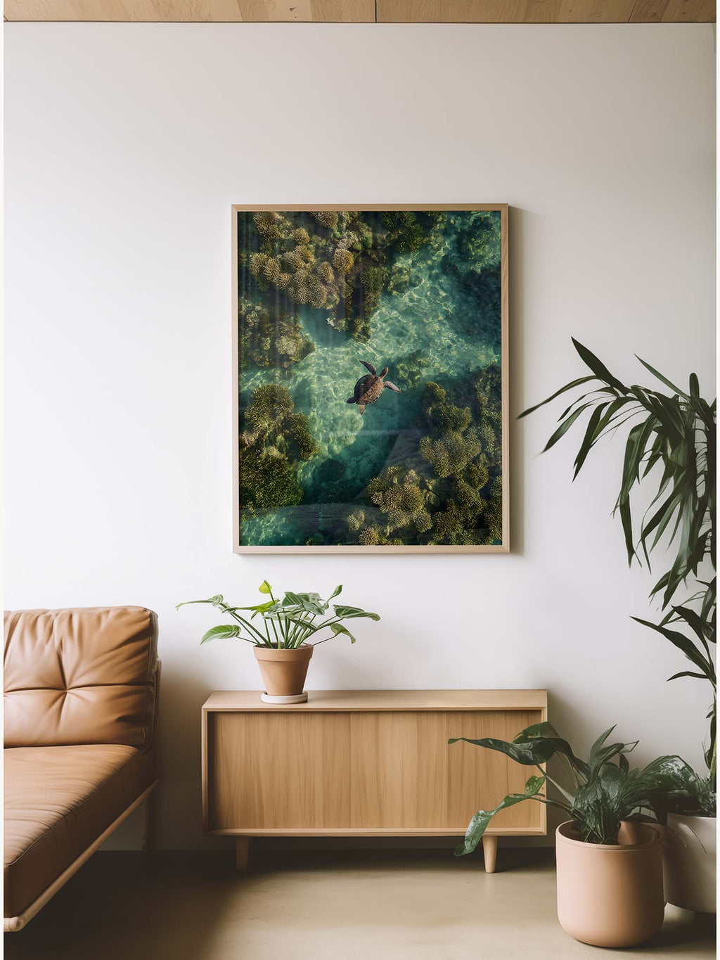 Between Light and Coral
