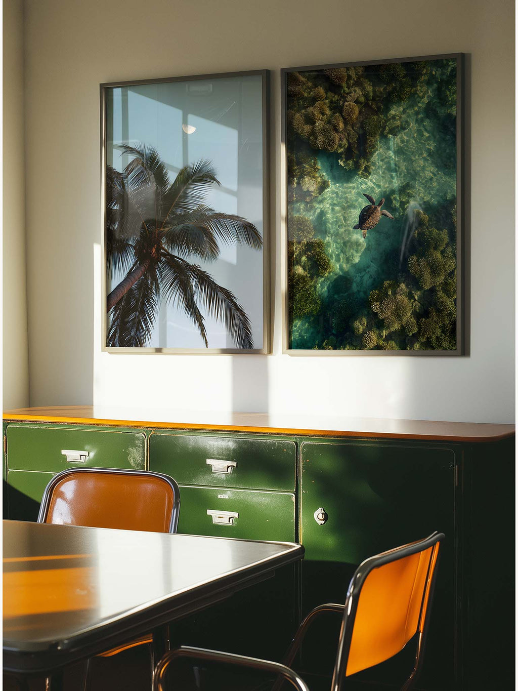 Between Light and Coral