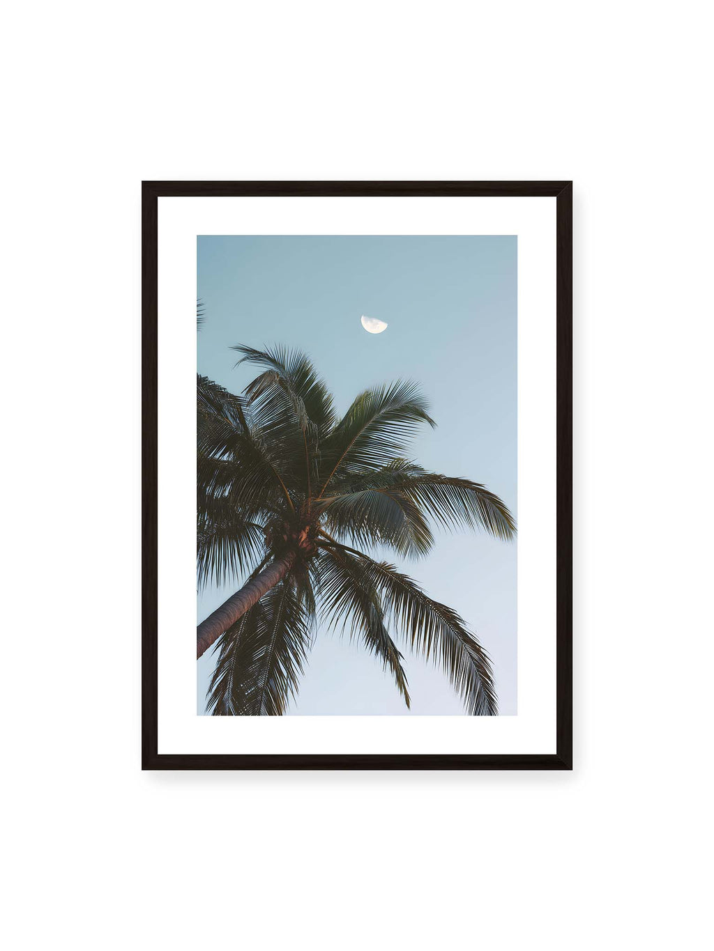 Between Fronds