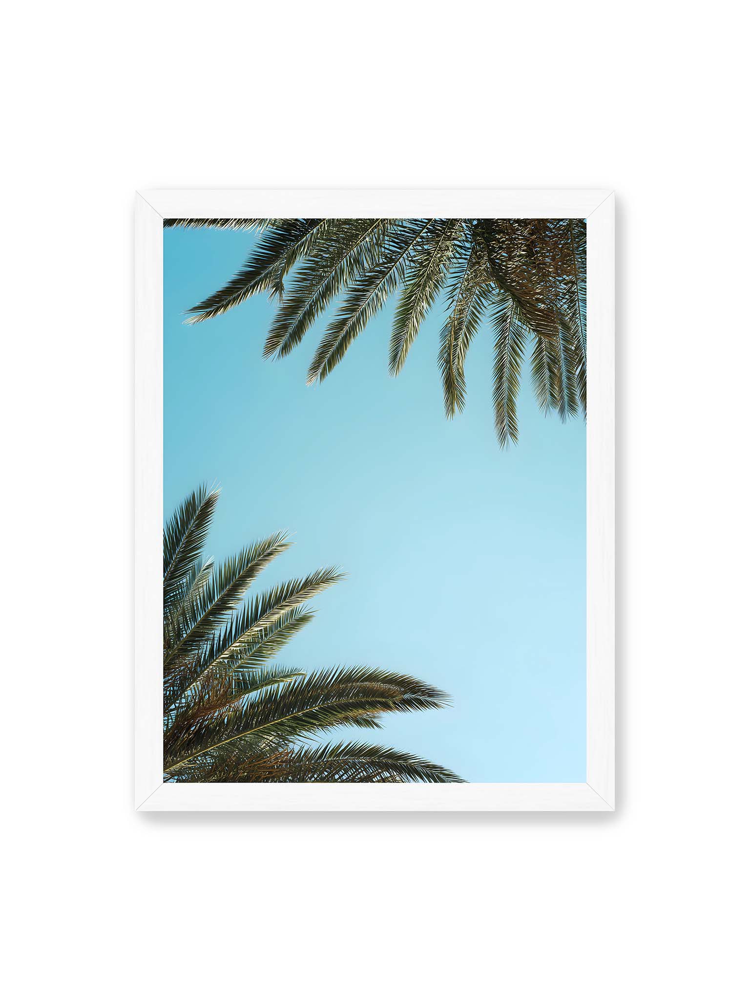 30x40 cm, weißer Rahmen – Palmwedel rahmen den offenen blauen Himmel mit viel freiem Raum ein.