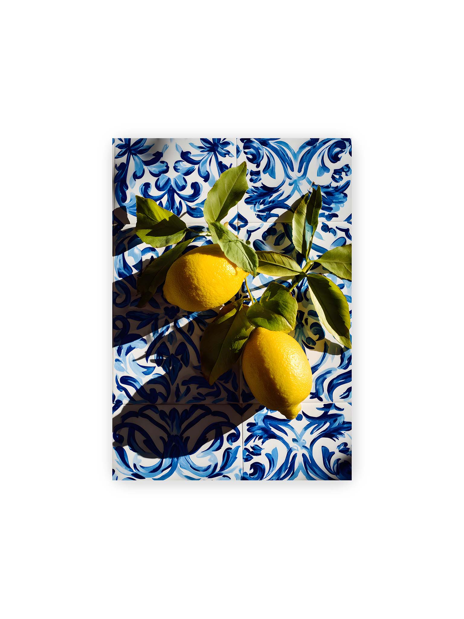 21x30 cm – Zitronen mit Blättern auf blau gemusterten Fliesen mit starkem Licht und klaren Schatten.
