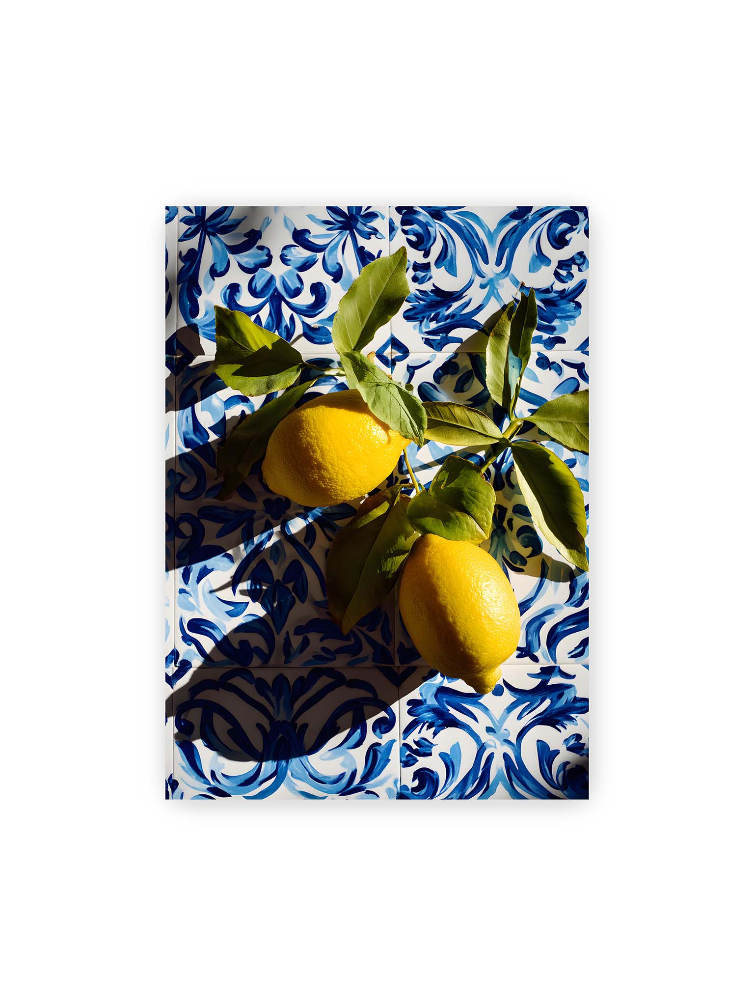 50x70 cm – Zitronen mit Blättern auf blau gemusterten Fliesen mit starkem Licht und klaren Schatten.