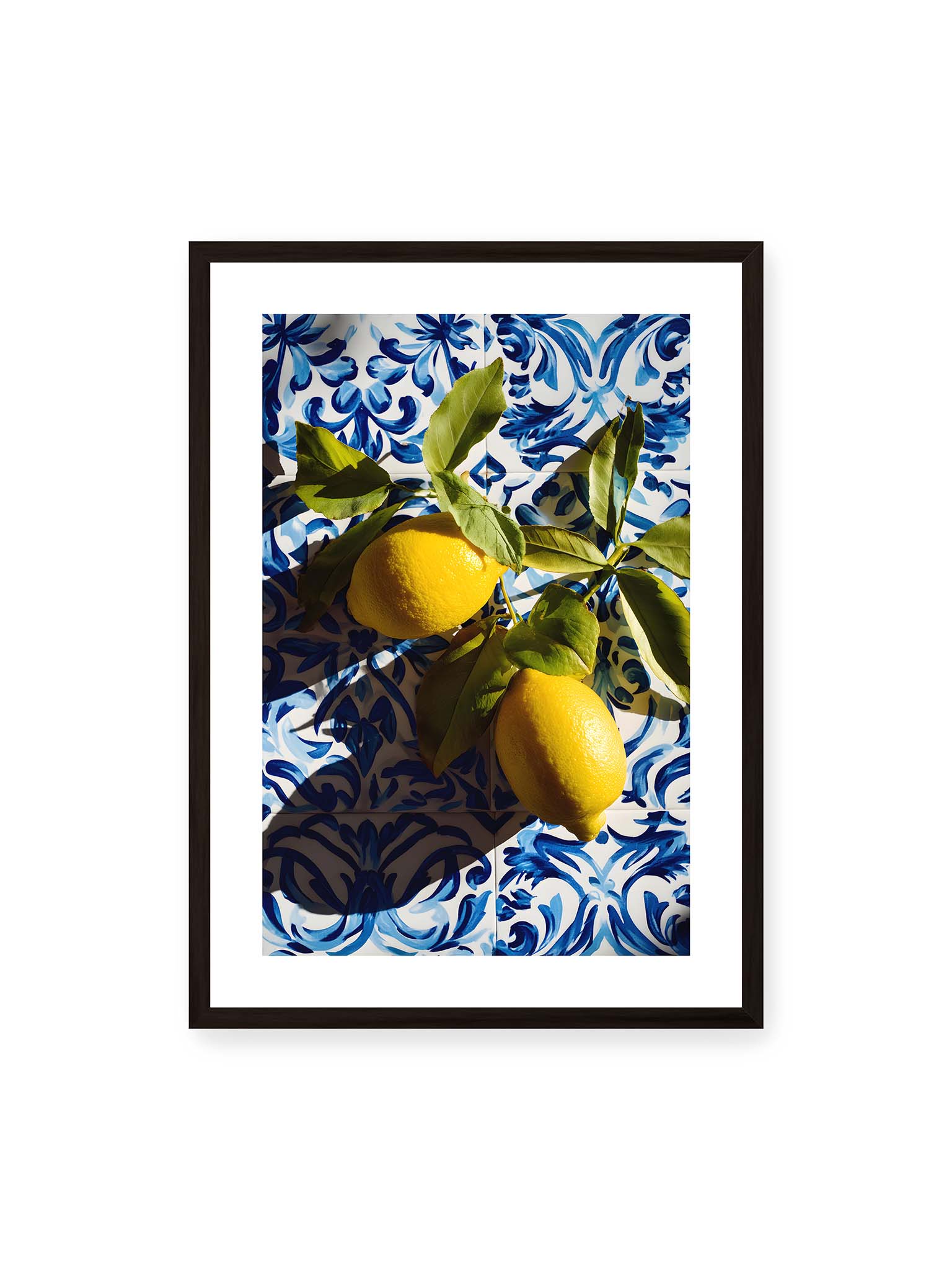 Between Tile and Sun