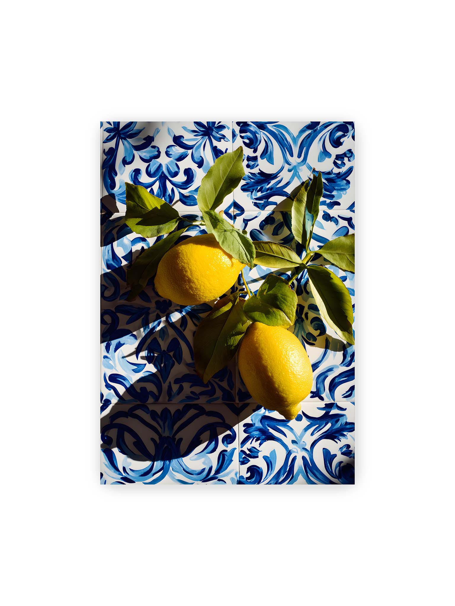 70x100 cm – Zitronen mit Blättern auf blau gemusterten Fliesen mit starkem Licht und klaren Schatten.