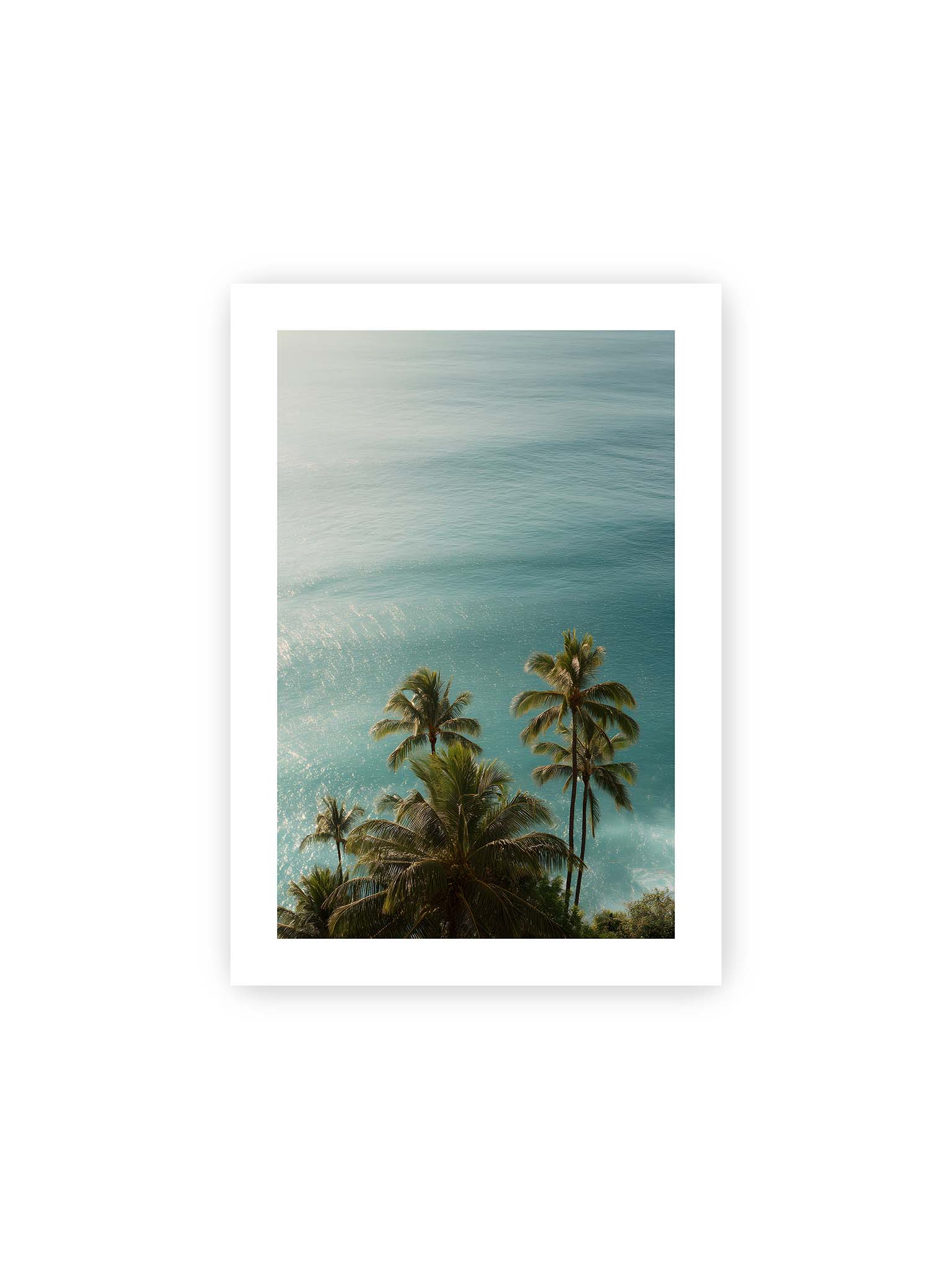21x30 cm, weißer Galerie-Rand – Palmen vor schimmerndem, türkisfarbenem Meer mit sanftem Licht und ruhiger Wasseroberfläche.