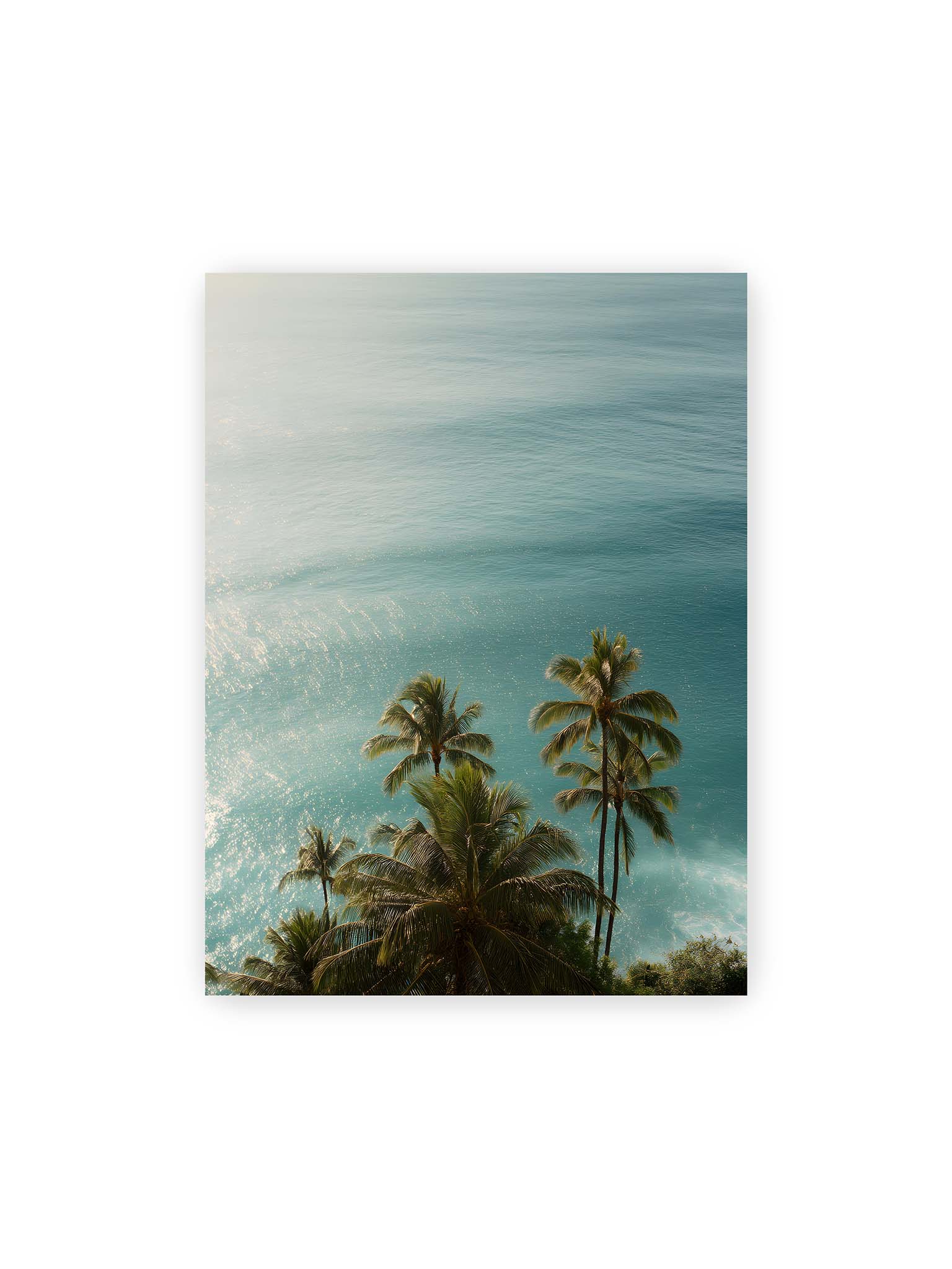 30x40 cm – Palmen vor schimmerndem, türkisfarbenem Meer mit sanftem Licht und ruhiger Wasseroberfläche.