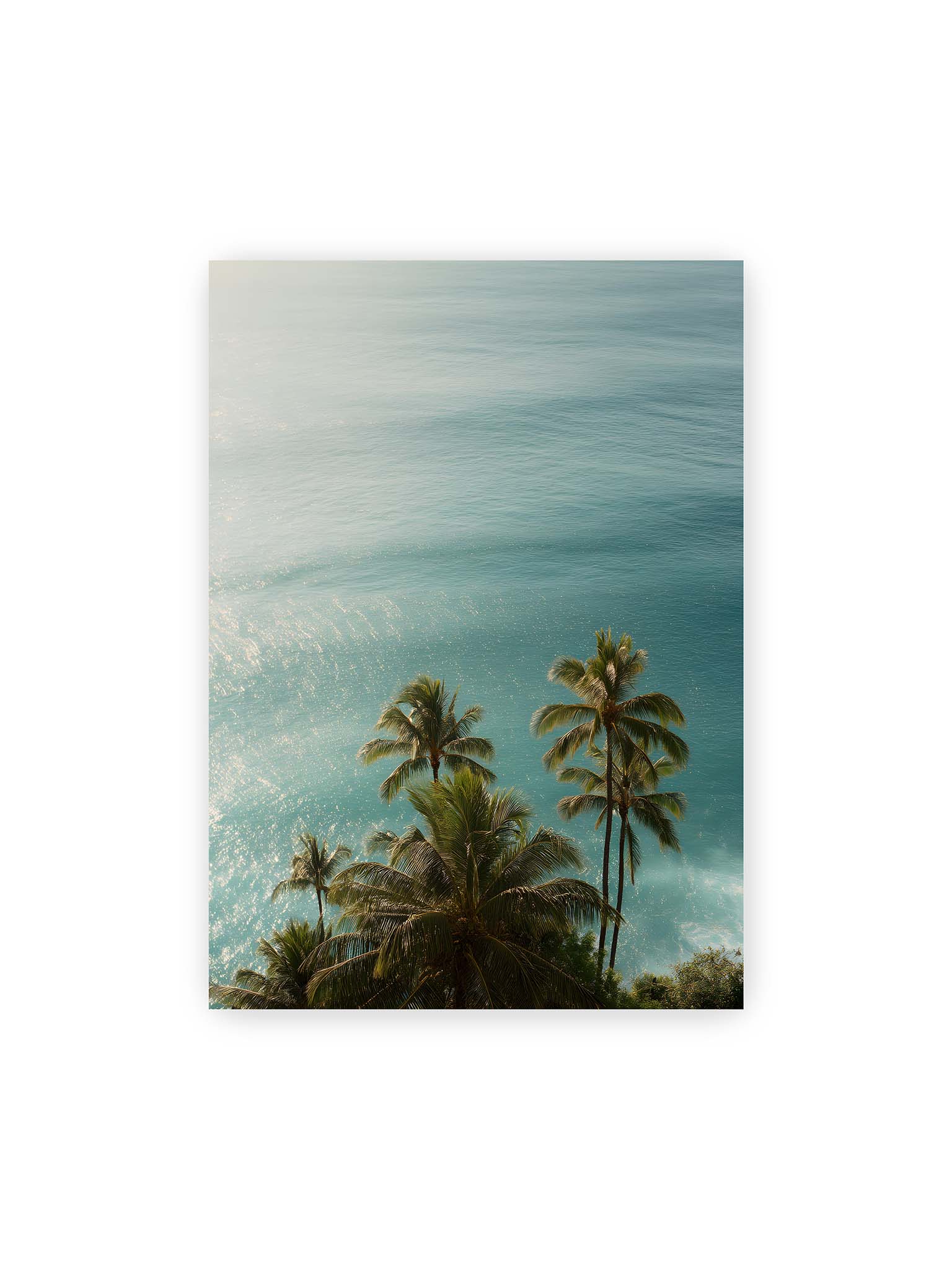 50x70 cm – Palmen vor schimmerndem, türkisfarbenem Meer mit sanftem Licht und ruhiger Wasseroberfläche.
