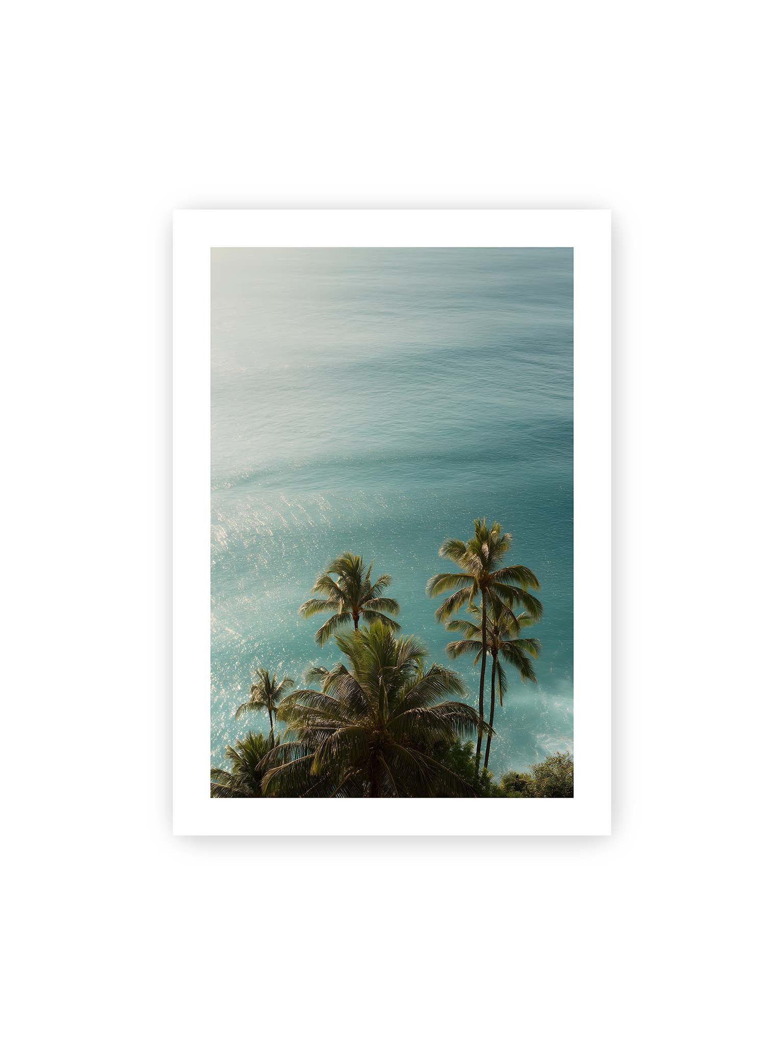70x100 cm, weißer Galerie-Rand – Palmen vor schimmerndem, türkisfarbenem Meer mit sanftem Licht und ruhiger Wasseroberfläche.