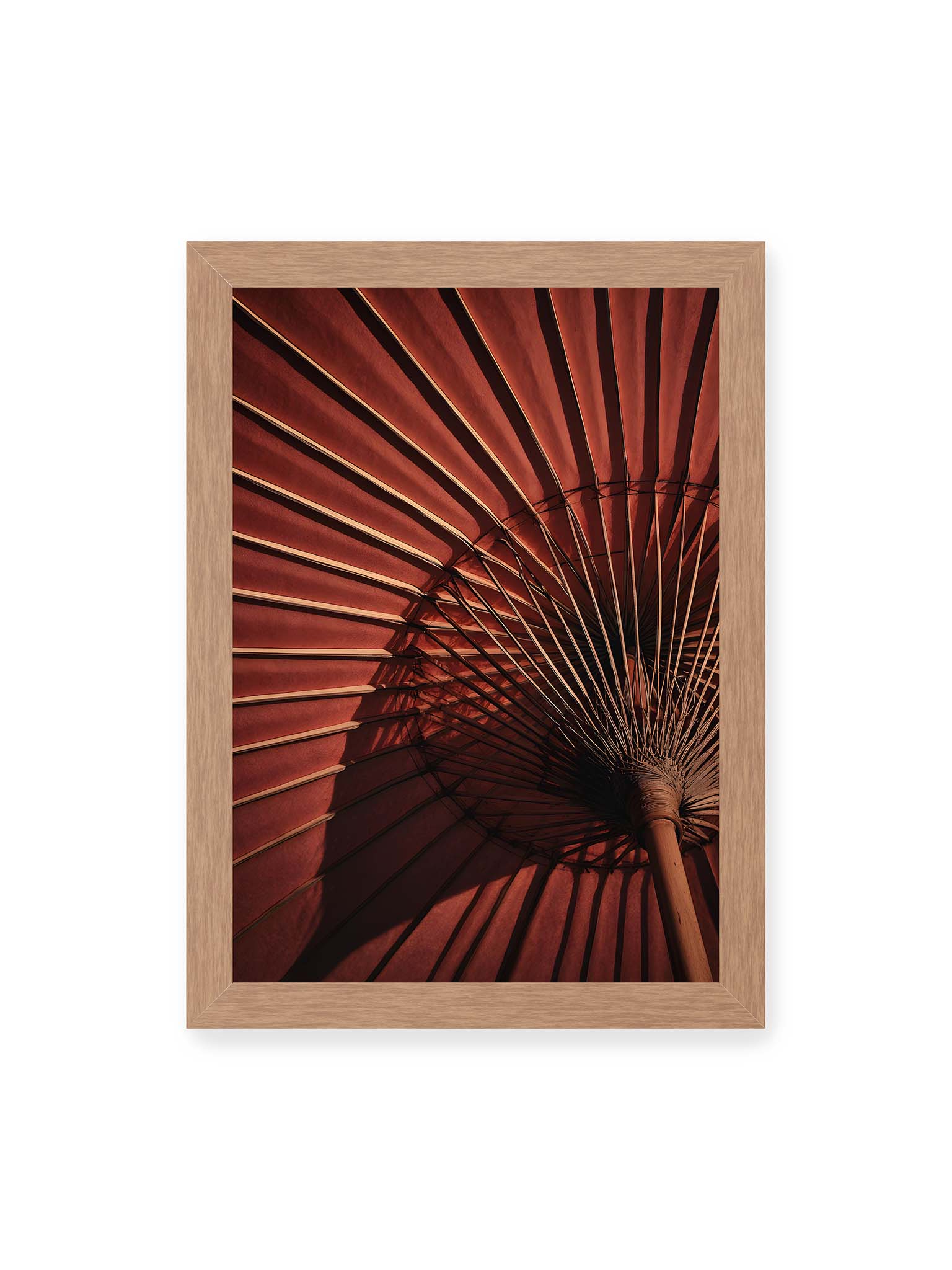 21x30 cm, Eichenrahmen – Detail eines roten japanischen Sonnenschirms, dem Wagasa, mit radialen Streben und starkem Licht-Schatten-Spiel.