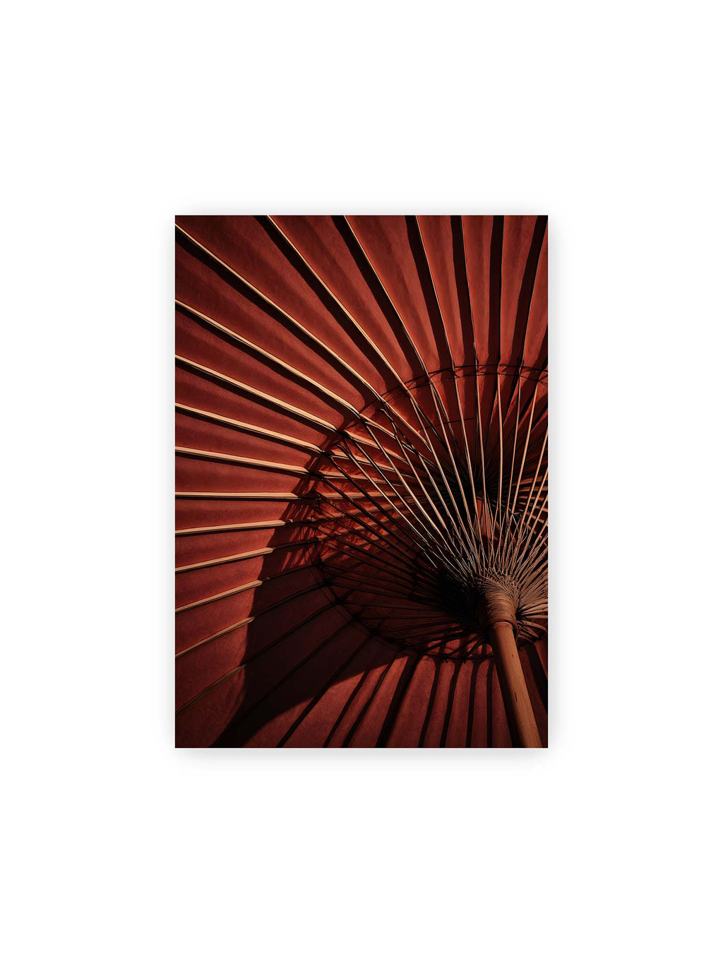21x30 cm – Detail eines roten japanischen Sonnenschirms, dem Wagasa, mit radialen Streben und starkem Licht-Schatten-Spiel.