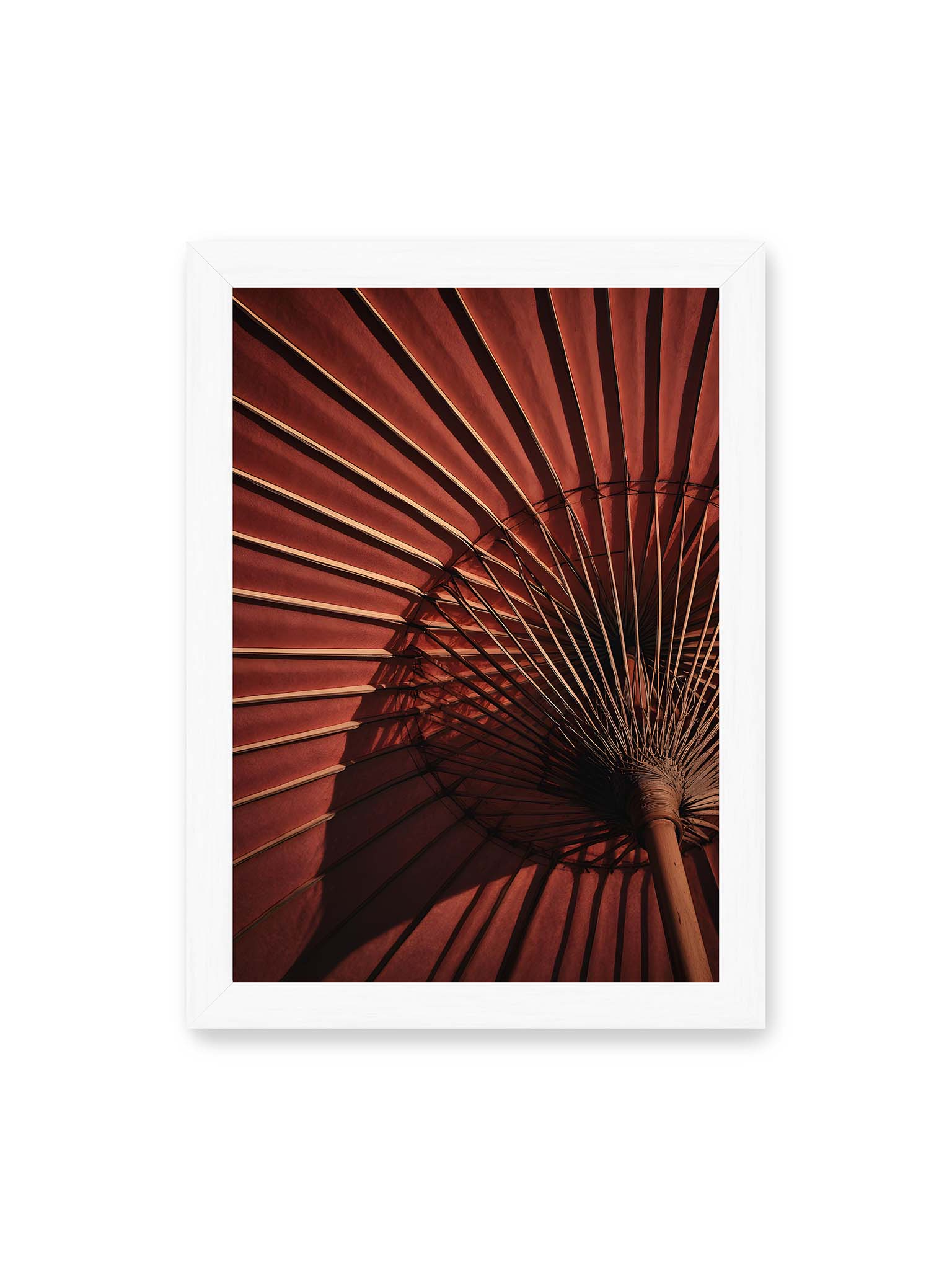 21x30 cm, weißer Rahmen – Detail eines roten japanischen Sonnenschirms, dem Wagasa, mit radialen Streben und starkem Licht-Schatten-Spiel.