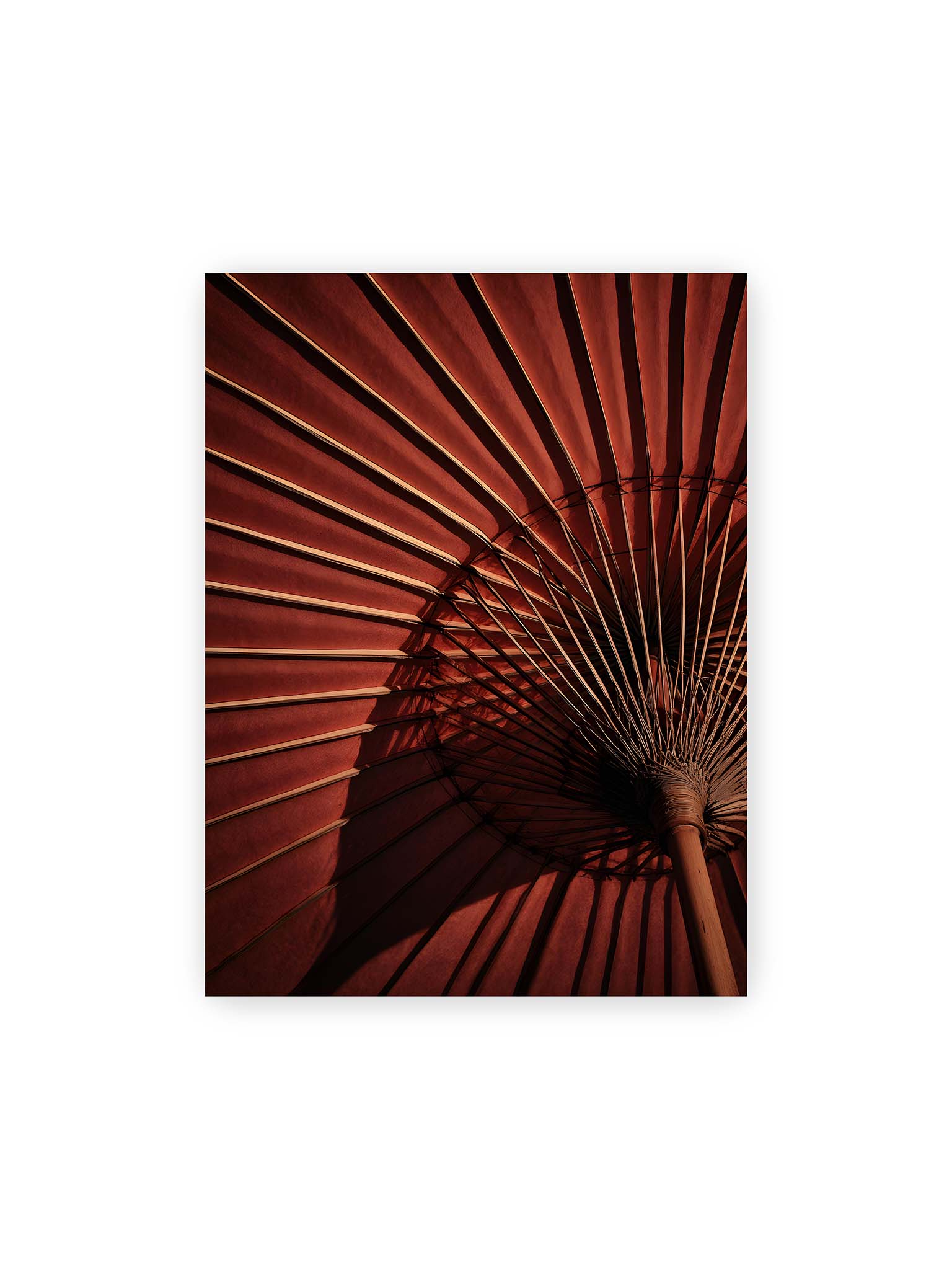 30x40 cm – Detail eines roten japanischen Sonnenschirms, dem Wagasa, mit radialen Streben und starkem Licht-Schatten-Spiel.