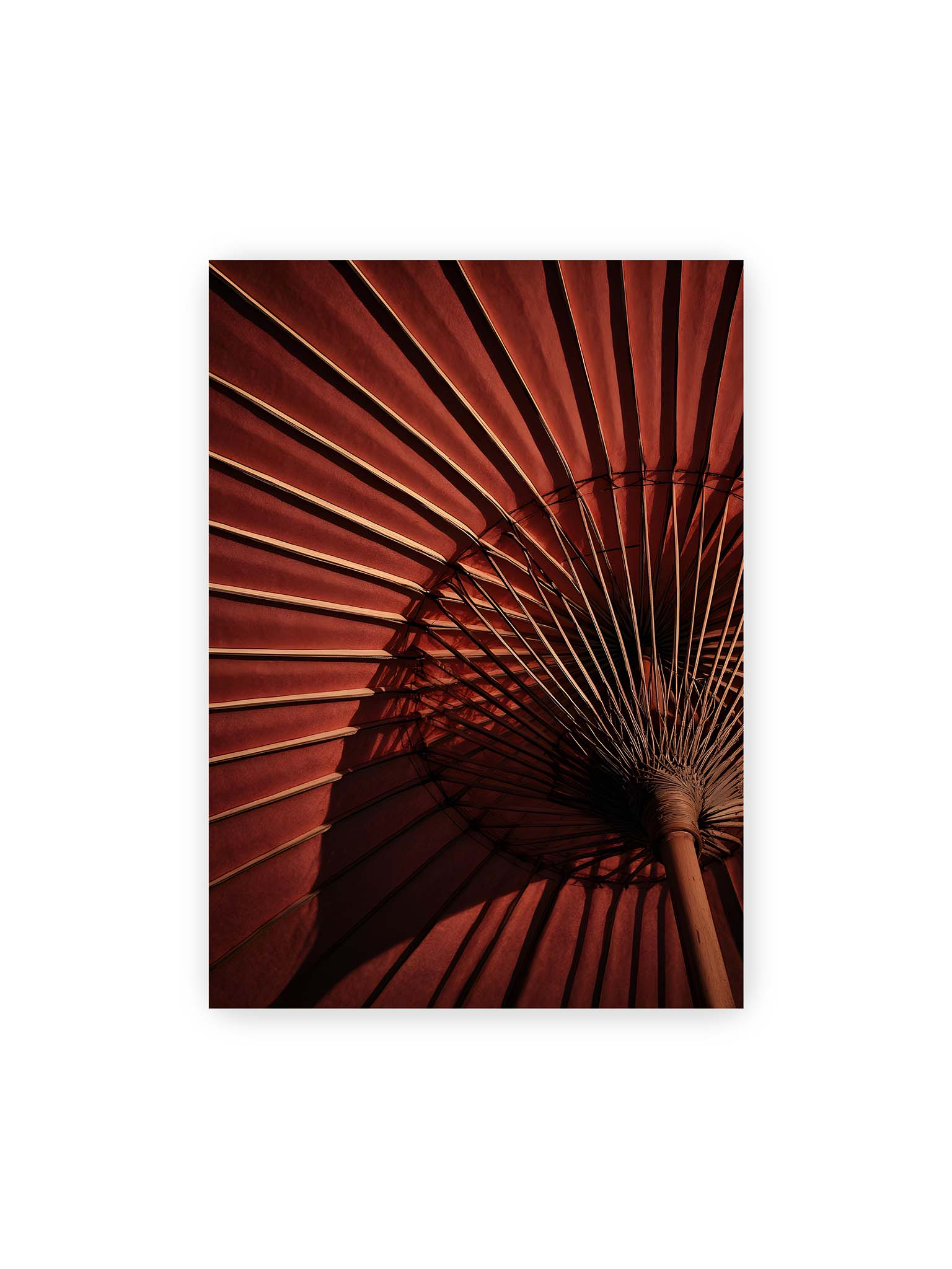 50x70 cm – Detail eines roten japanischen Sonnenschirms, dem Wagasa, mit radialen Streben und starkem Licht-Schatten-Spiel.