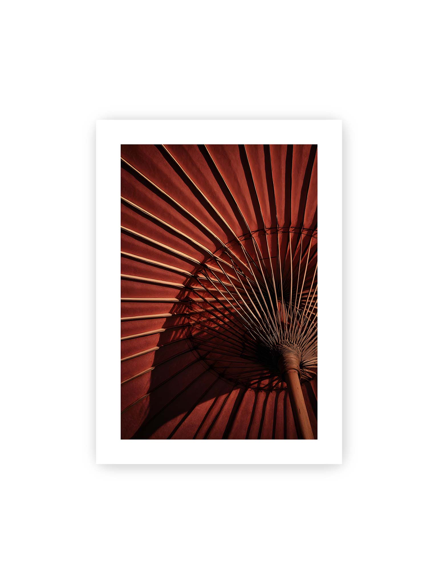 50x70 cm, weißer Galerie-Rand – Detail eines roten japanischen Sonnenschirms, dem Wagasa, mit radialen Streben und starkem Licht-Schatten-Spiel.