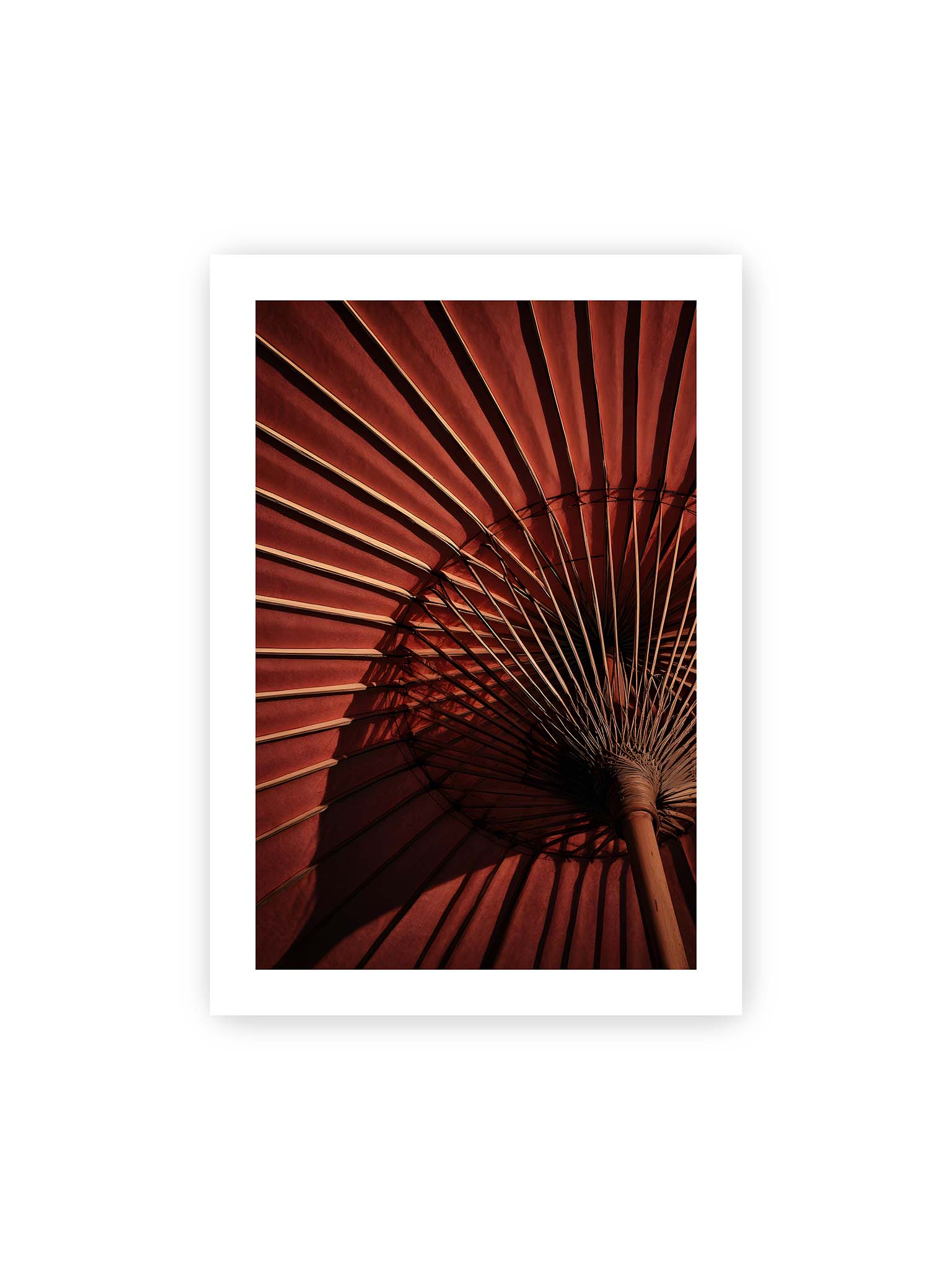 70x100 cm, weißer Galerie-Rand – Detail eines roten japanischen Sonnenschirms, dem Wagasa, mit radialen Streben und starkem Licht-Schatten-Spiel.
