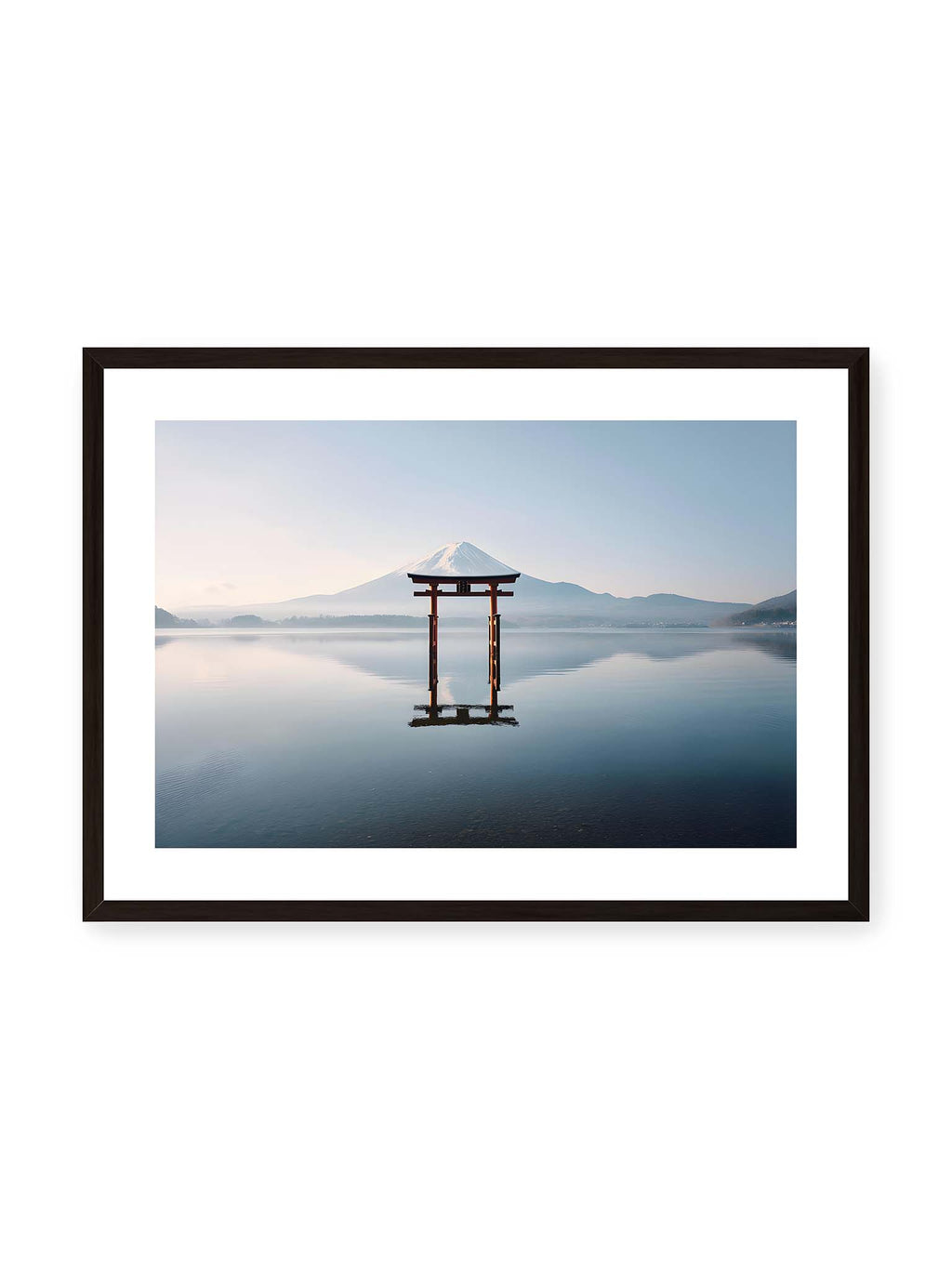 Torii Beneath Fuji