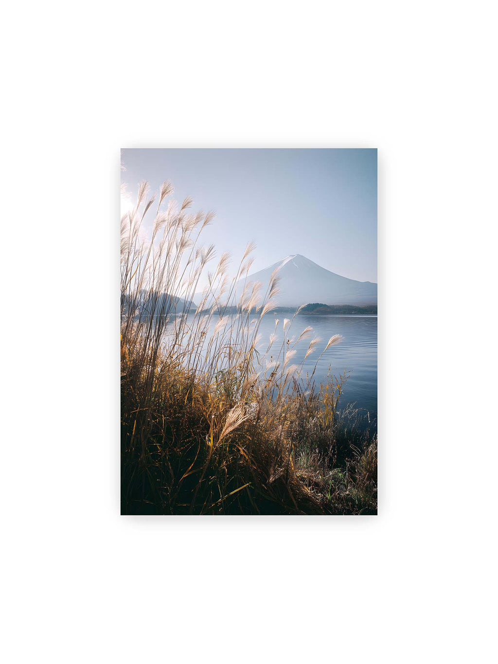 21x30 cm – Gräser am ruhigen See mit Blick auf einen fernen, klaren Mount Fuji unter hellem Himmel.