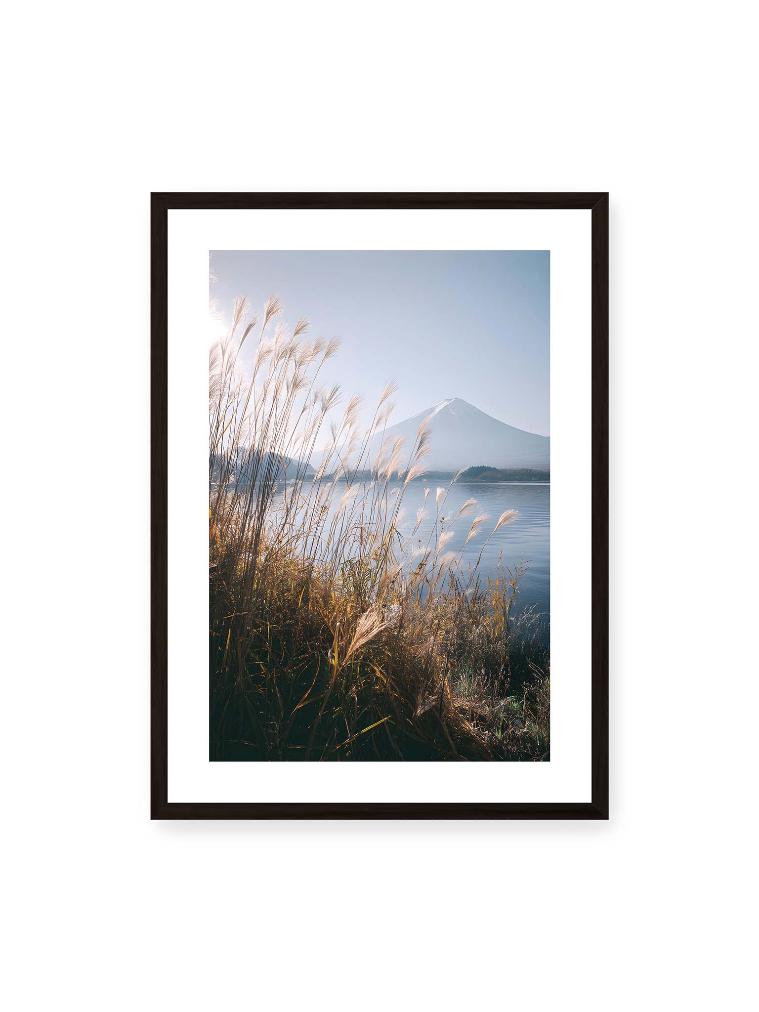 Stillness Beneath Fuji