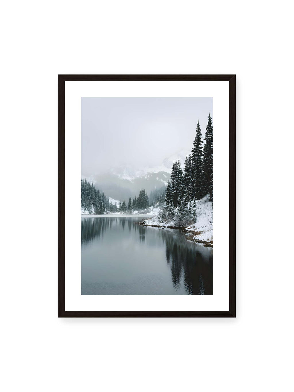 Reflected Stillness