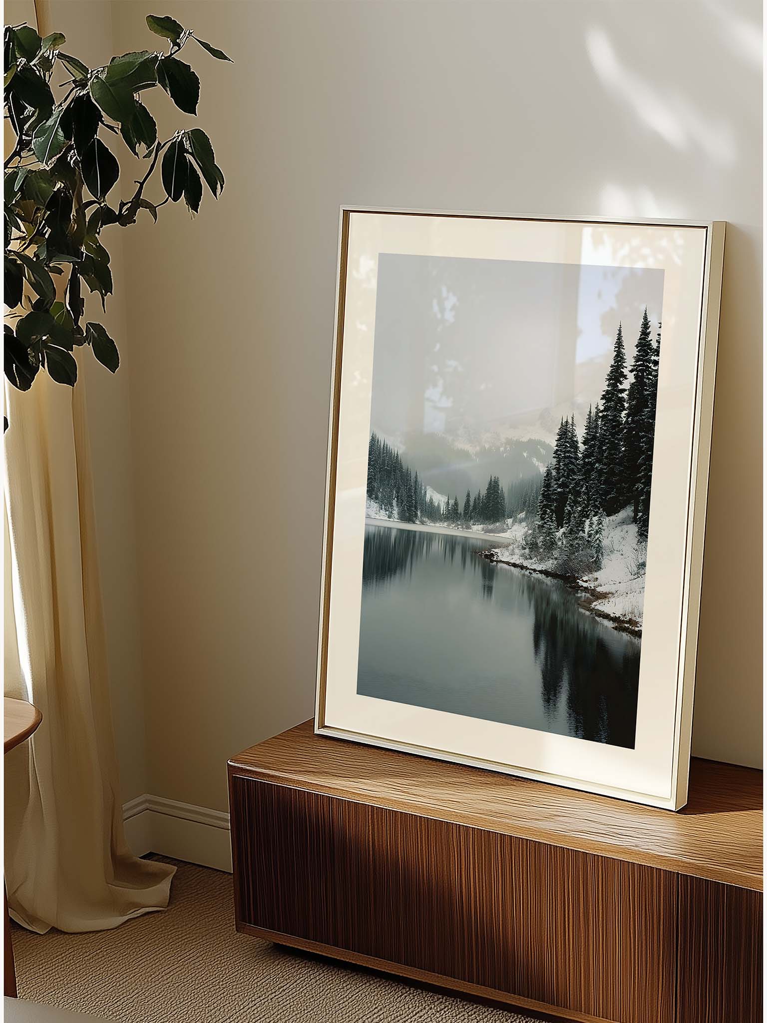 Reflected Stillness