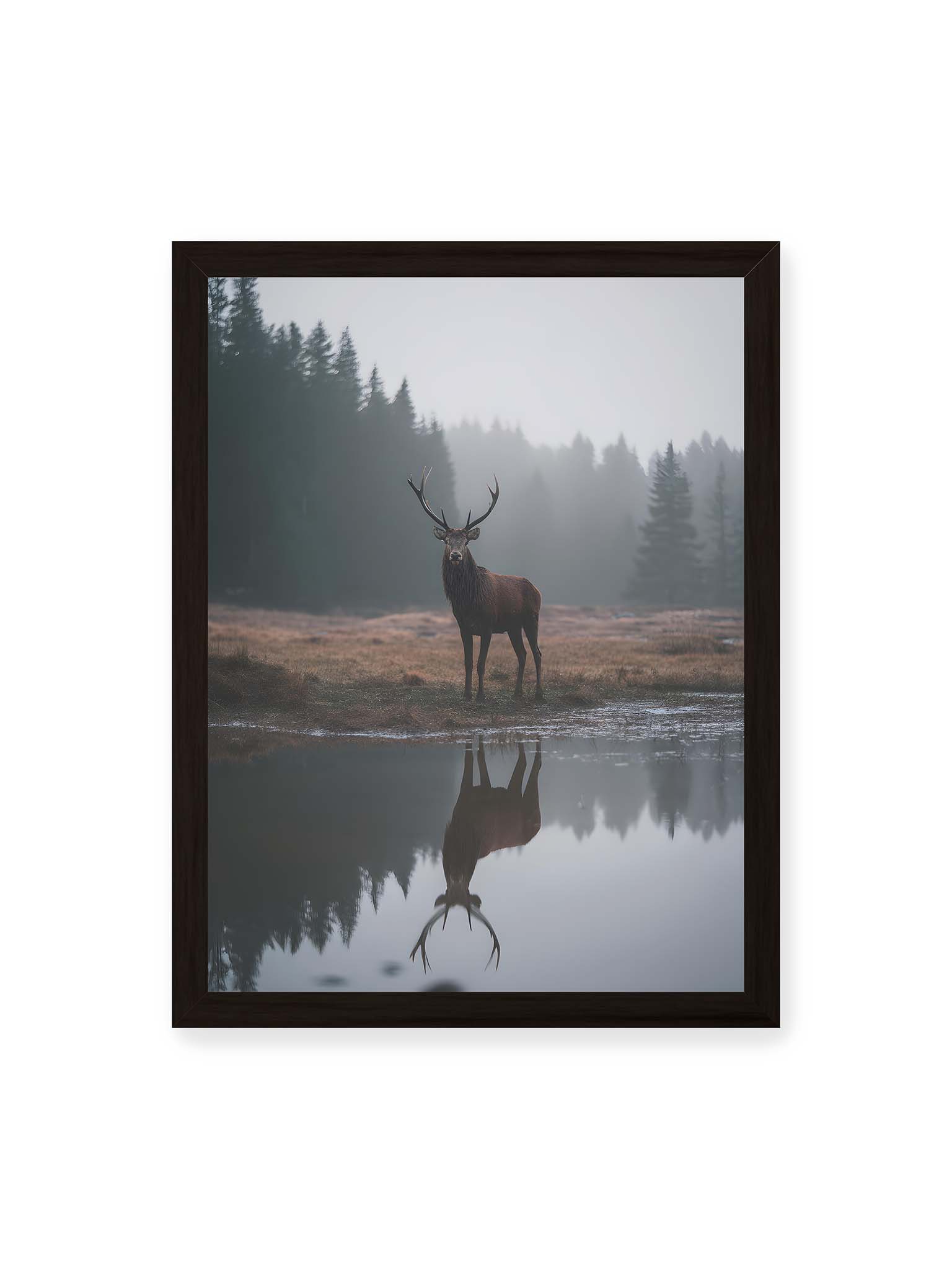30x40 cm, schwarzer Rahmen – Hirsch steht im nebligen Wald vor ruhigem Wasser mit klarer Spiegelung im Vordergrund.