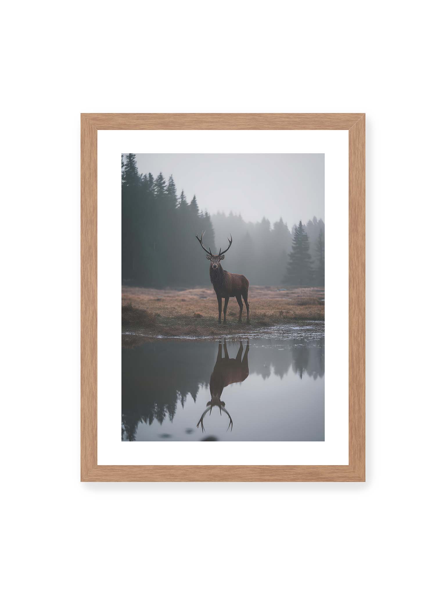30x40 cm, weißer Galerie-Rand, Eichenrahmen – Hirsch steht im nebligen Wald vor ruhigem Wasser mit klarer Spiegelung im Vordergrund.