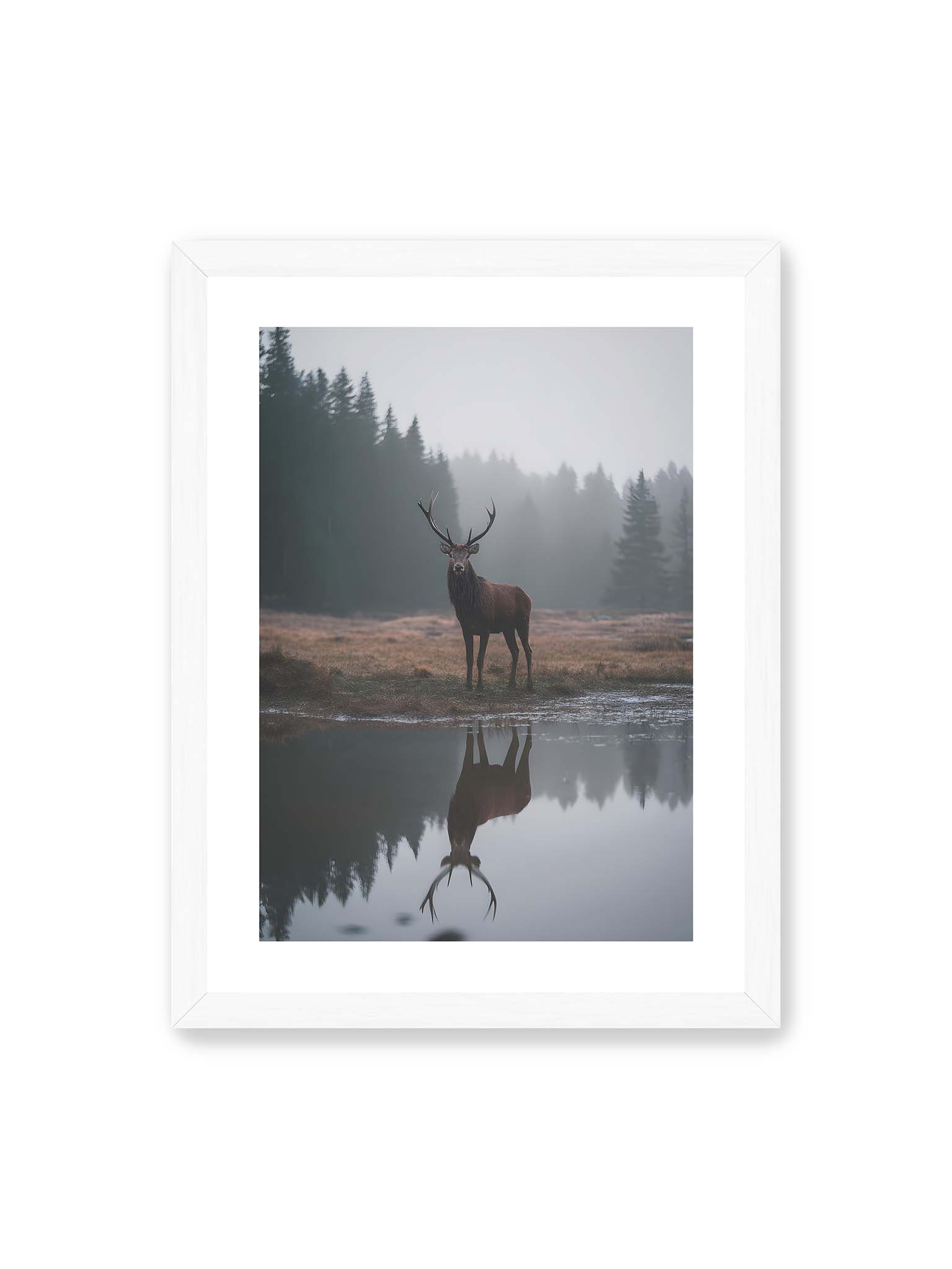 30x40 cm, weißer Galerie-Rand, weißer Rahmen – Hirsch steht im nebligen Wald vor ruhigem Wasser mit klarer Spiegelung im Vordergrund.