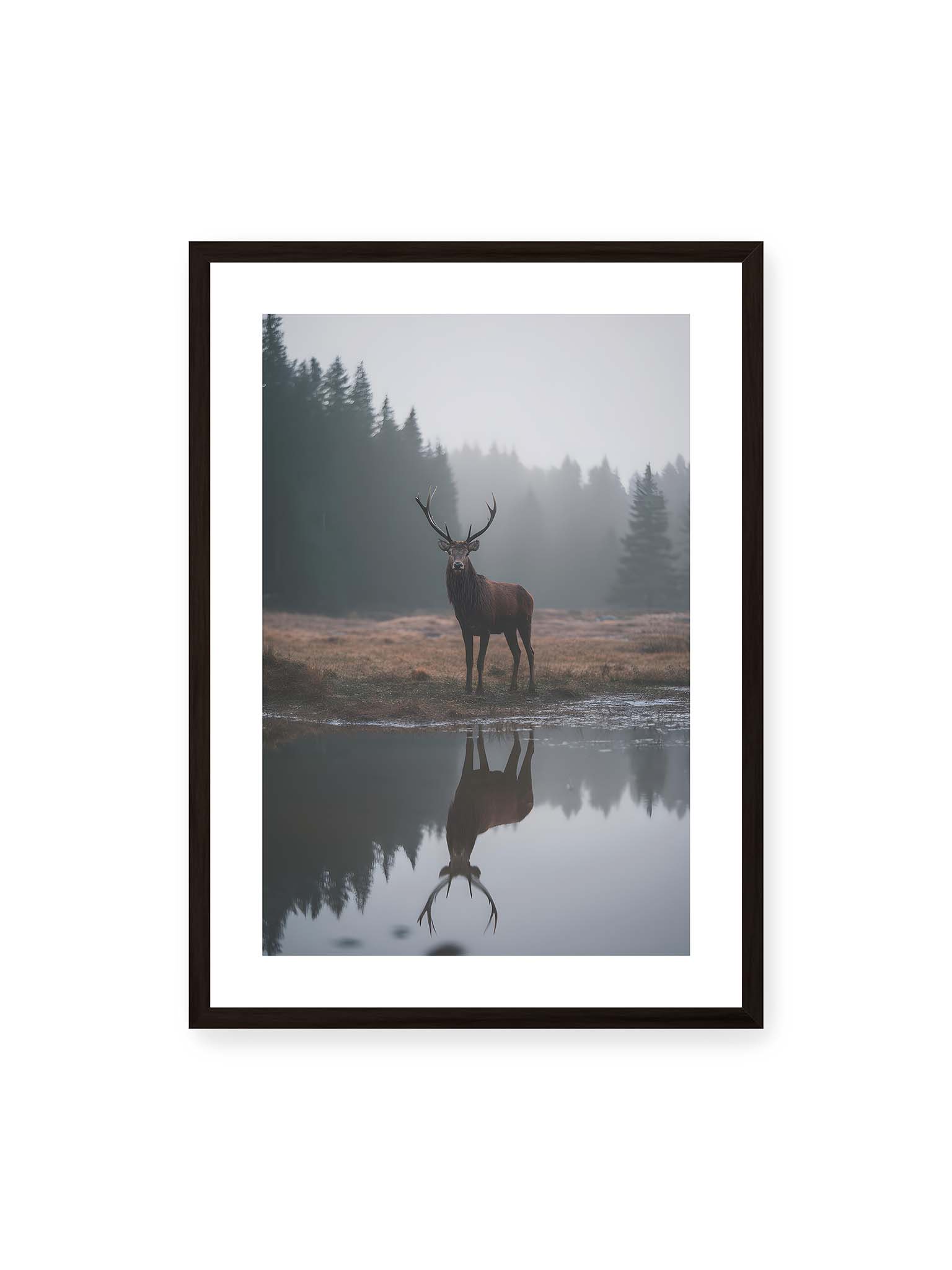 50x70 cm, weißer Galerie-Rand, schwarzer Rahmen – Hirsch steht im nebligen Wald vor ruhigem Wasser mit klarer Spiegelung im Vordergrund.