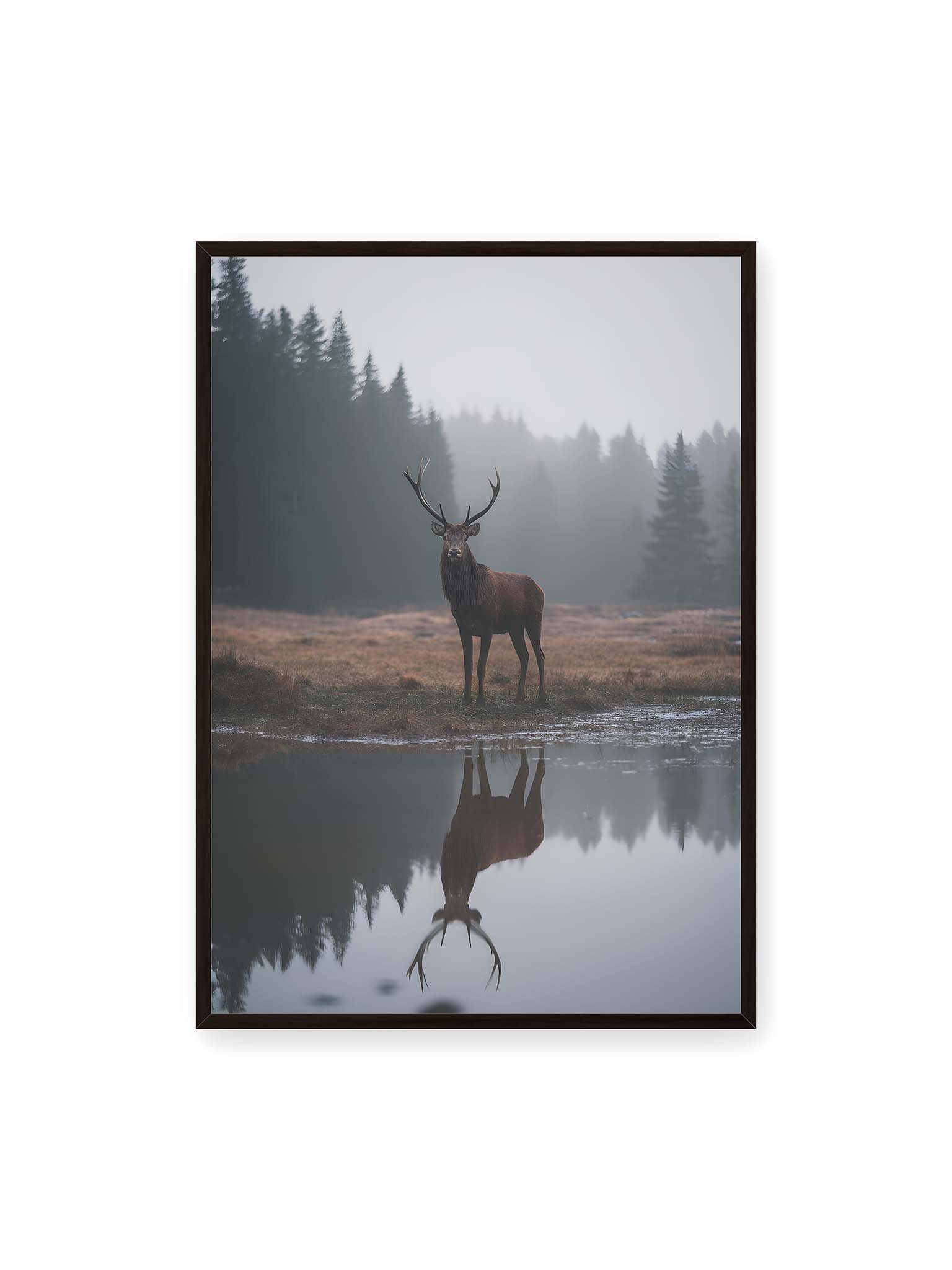 70x100 cm, schwarzer Rahmen – Hirsch steht im nebligen Wald vor ruhigem Wasser mit klarer Spiegelung im Vordergrund.