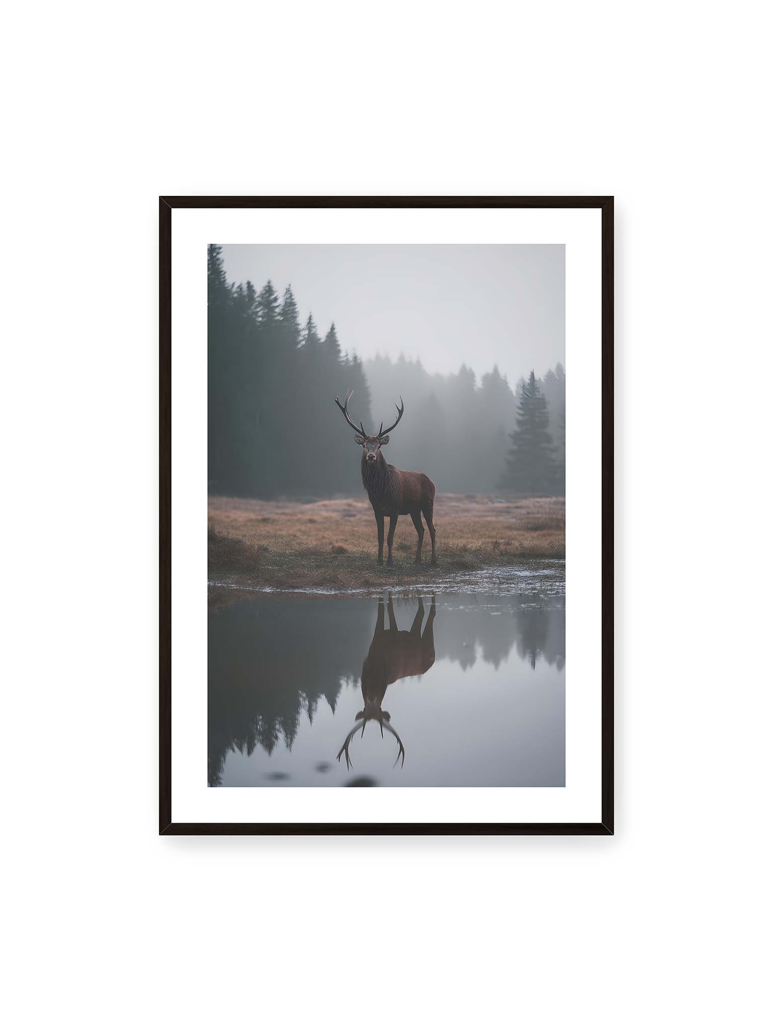 70x100 cm, weißer Galerie-Rand, schwarzer Rahmen – Hirsch steht im nebligen Wald vor ruhigem Wasser mit klarer Spiegelung im Vordergrund.