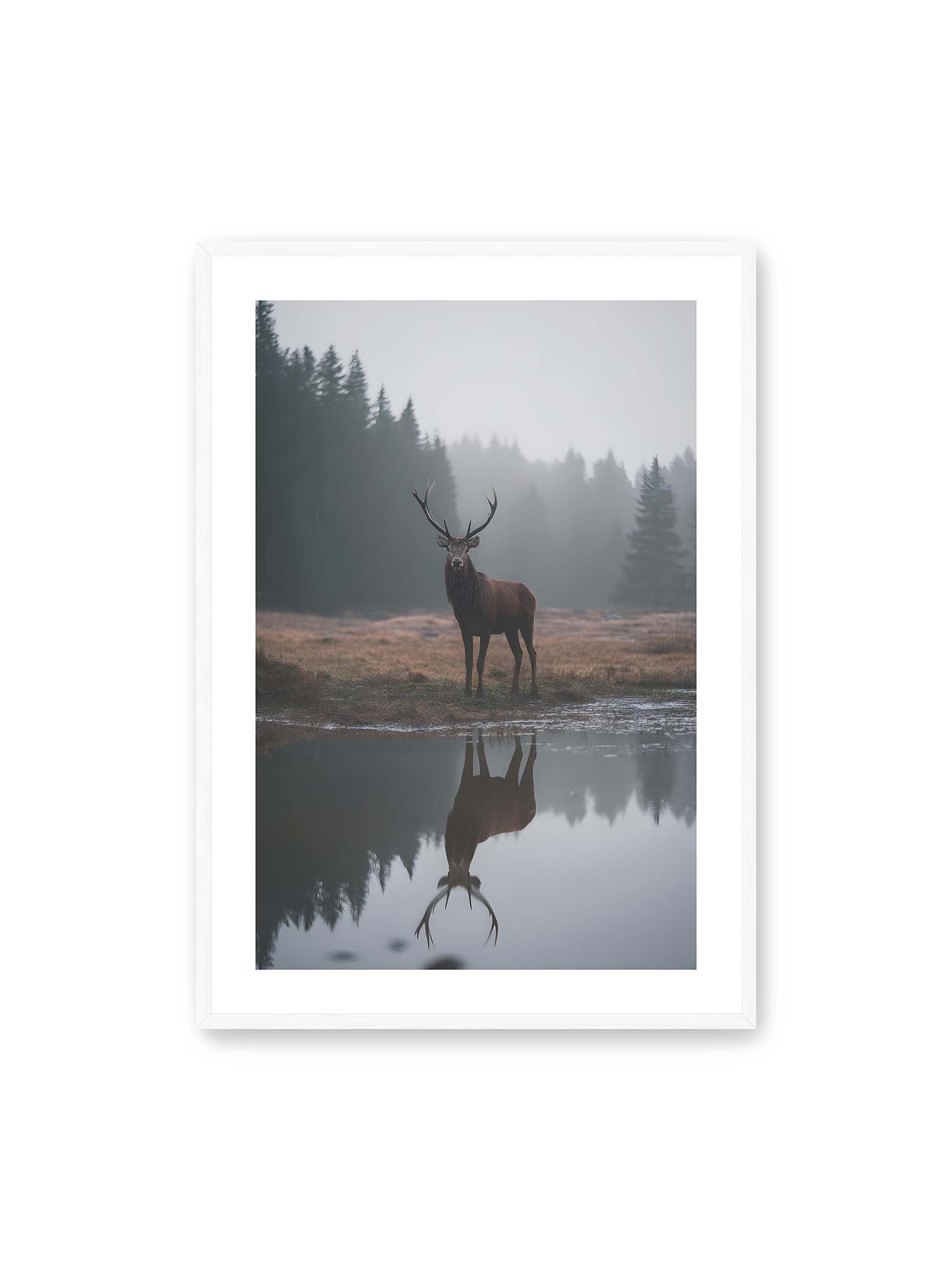 70x100 cm, weißer Galerie-Rand, weißer Rahmen – Hirsch steht im nebligen Wald vor ruhigem Wasser mit klarer Spiegelung im Vordergrund.
