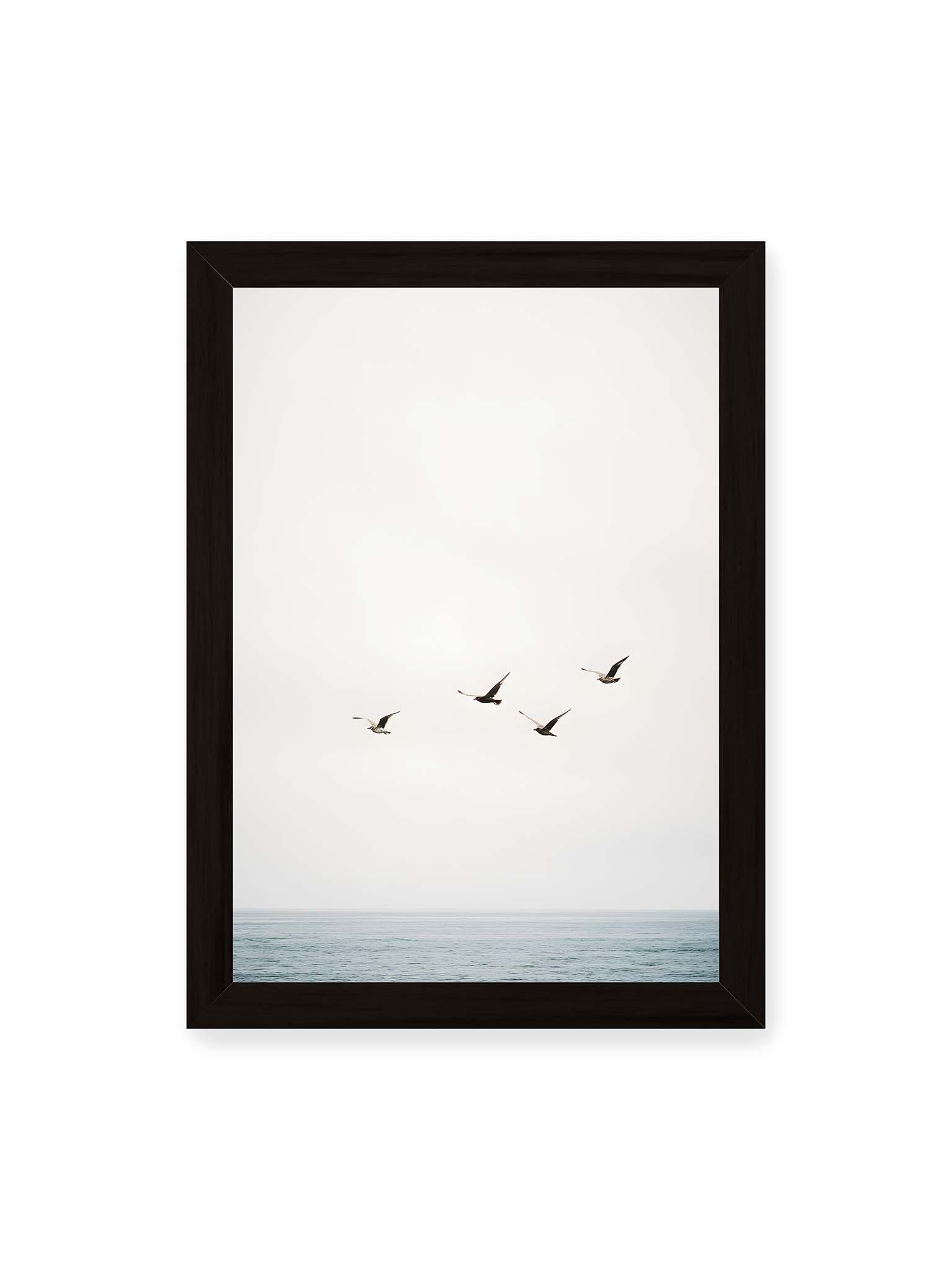 21x30 cm, schwarzer Rahmen – Vier Vögel fliegen in Formation über ein ruhiges Meer unter einem weiten, hellen Himmel.