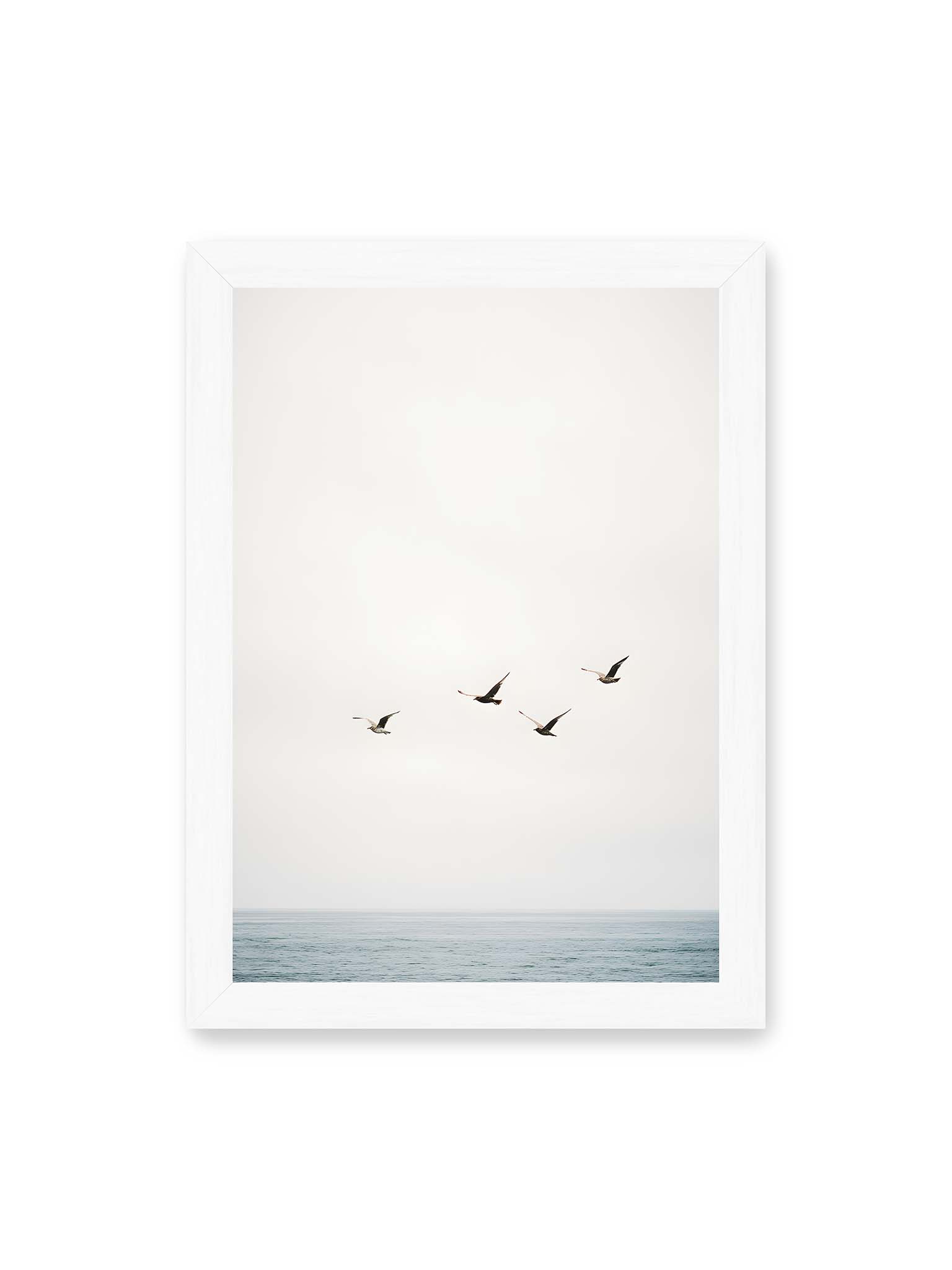 21x30 cm, weißer Rahmen – Vier Vögel fliegen in Formation über ein ruhiges Meer unter einem weiten, hellen Himmel.