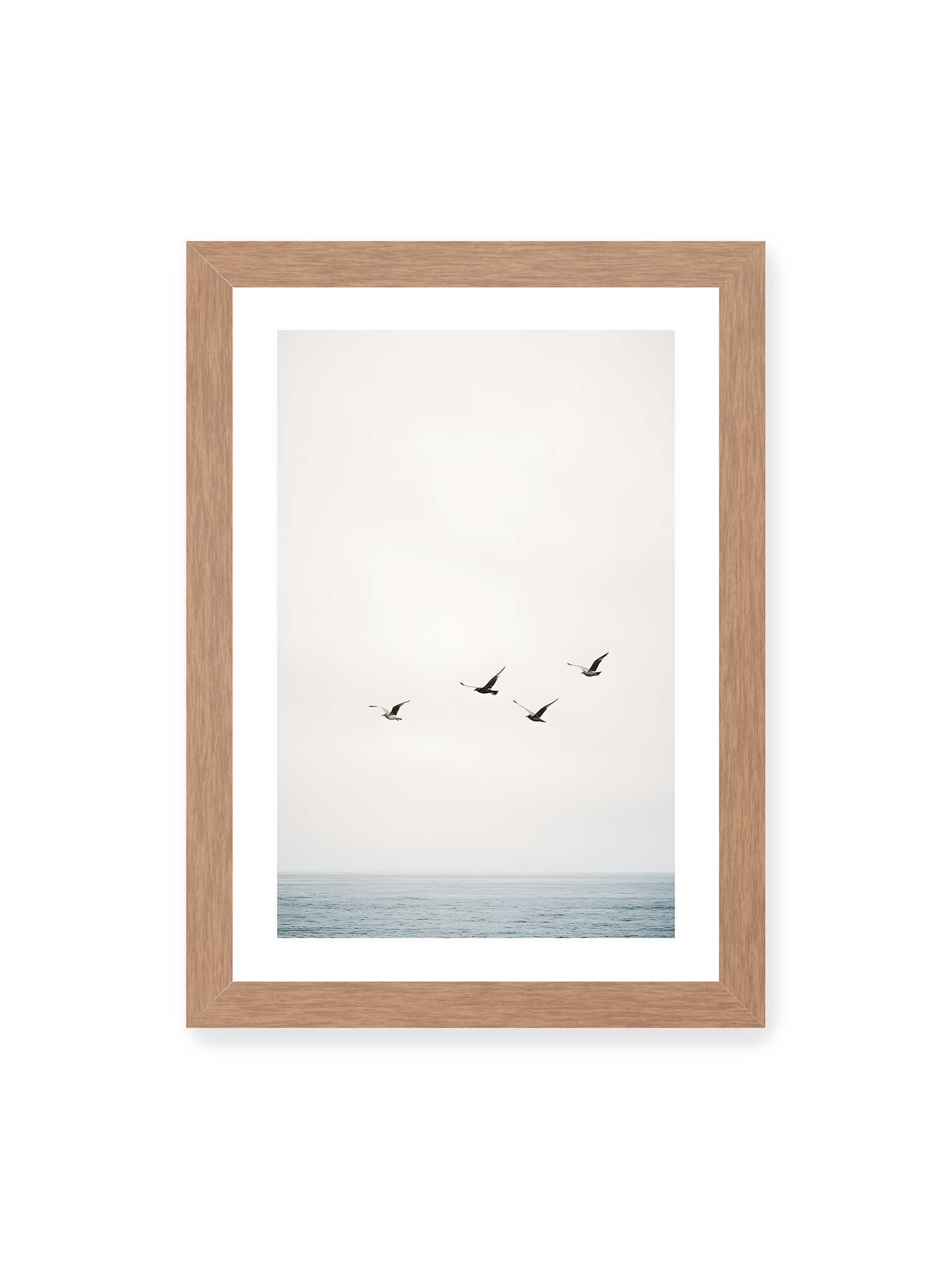 21x30 cm, weißer Galerie-Rand, Eichenrahmen – Vier Vögel fliegen in Formation über ein ruhiges Meer unter einem weiten, hellen Himmel.