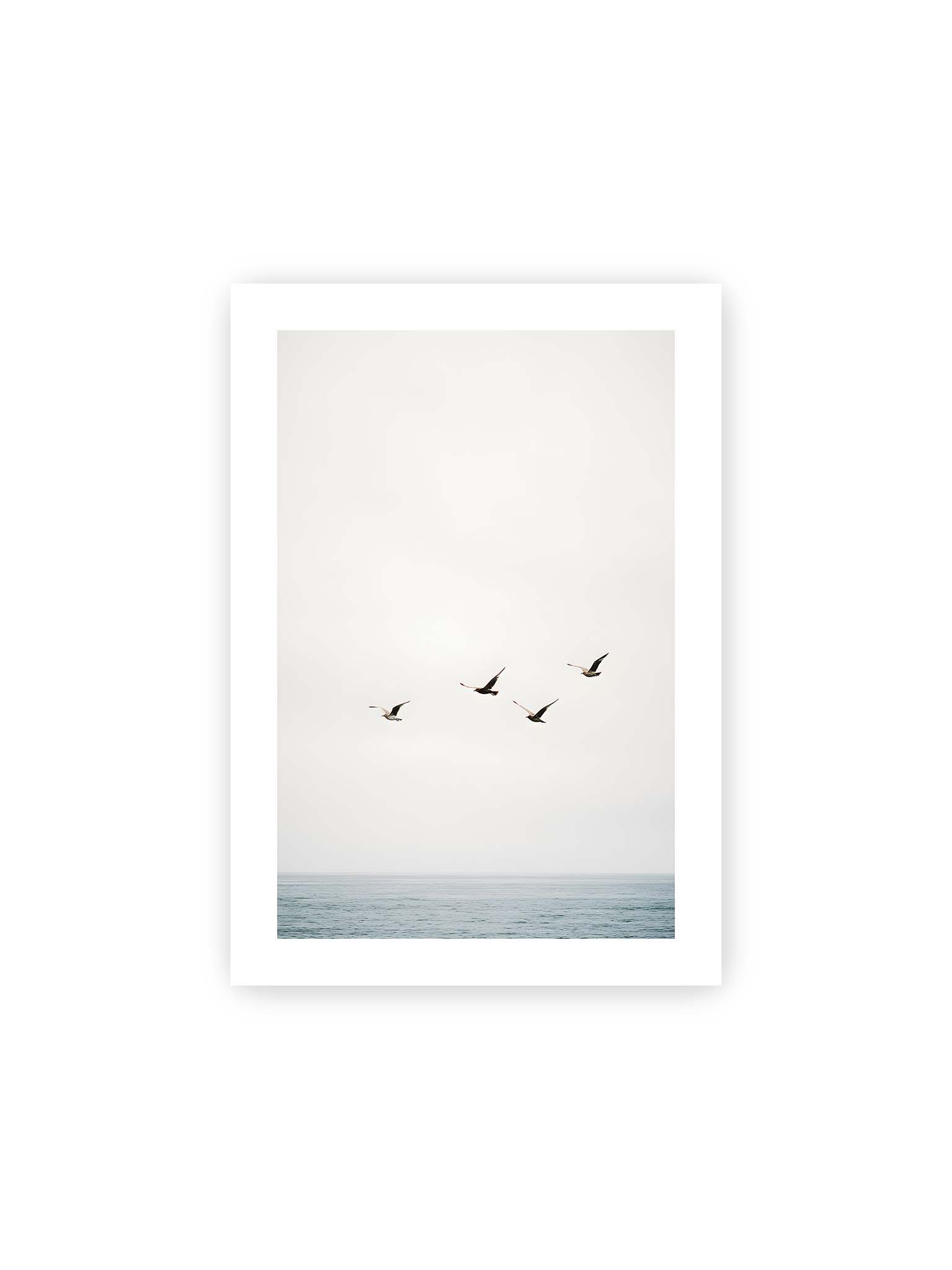 21x30 cm, weißer Galerie-Rand – Vier Vögel fliegen in Formation über ein ruhiges Meer unter einem weiten, hellen Himmel.