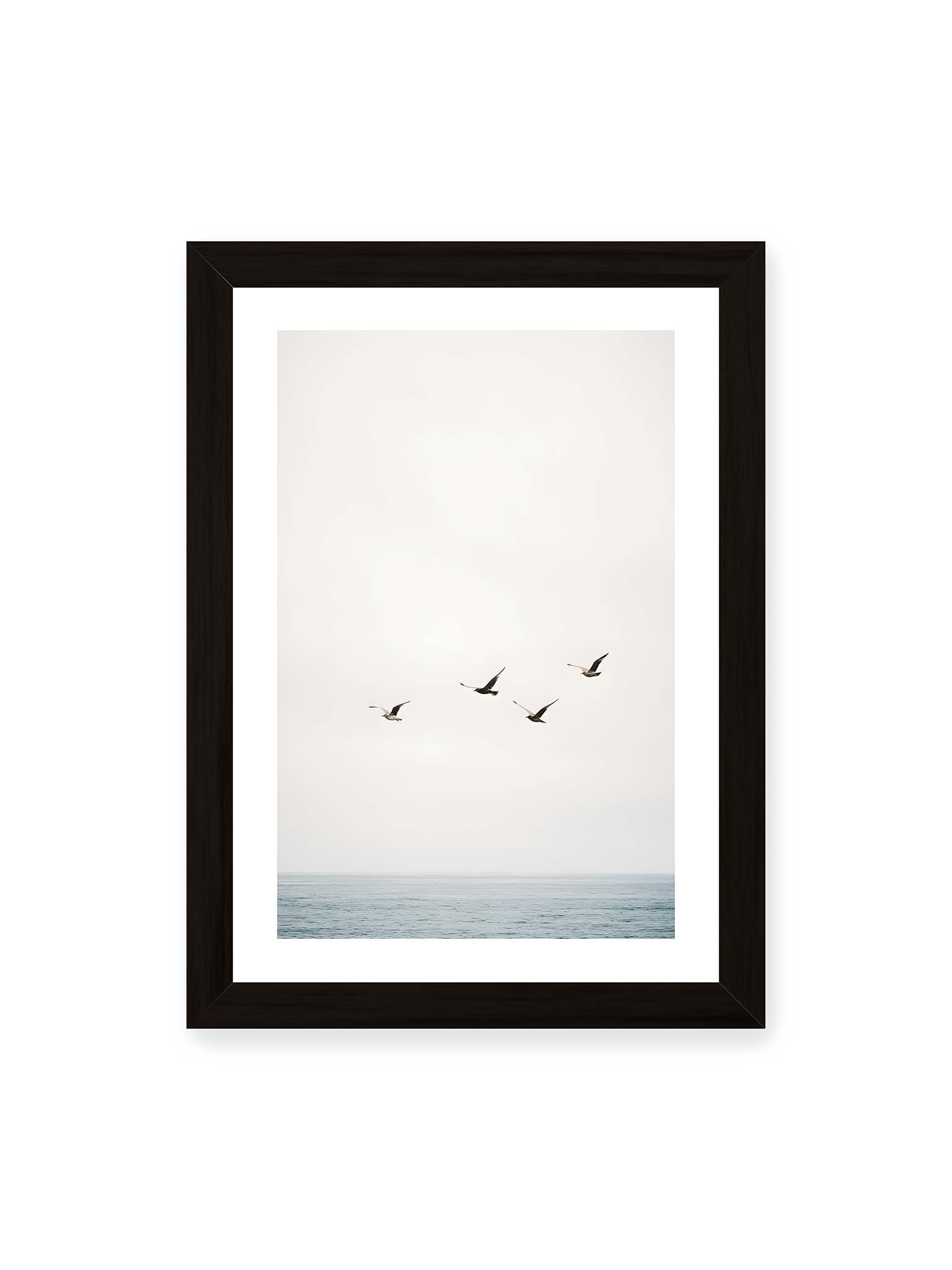 21x30 cm, weißer Galerie-Rand, schwarzer Rahmen – Vier Vögel fliegen in Formation über ein ruhiges Meer unter einem weiten, hellen Himmel.