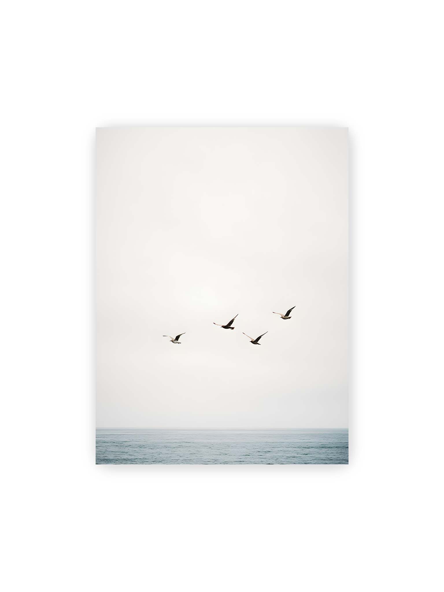 30x40 cm – Vier Vögel fliegen in Formation über ein ruhiges Meer unter einem weiten, hellen Himmel.