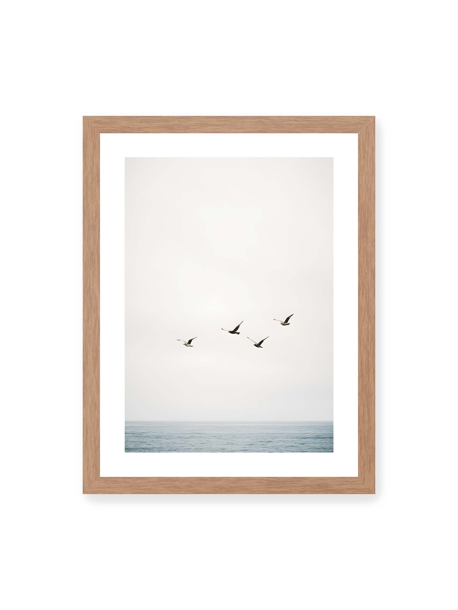 30x40 cm, weißer Galerie-Rand, Eichenrahmen – Vier Vögel fliegen in Formation über ein ruhiges Meer unter einem weiten, hellen Himmel.