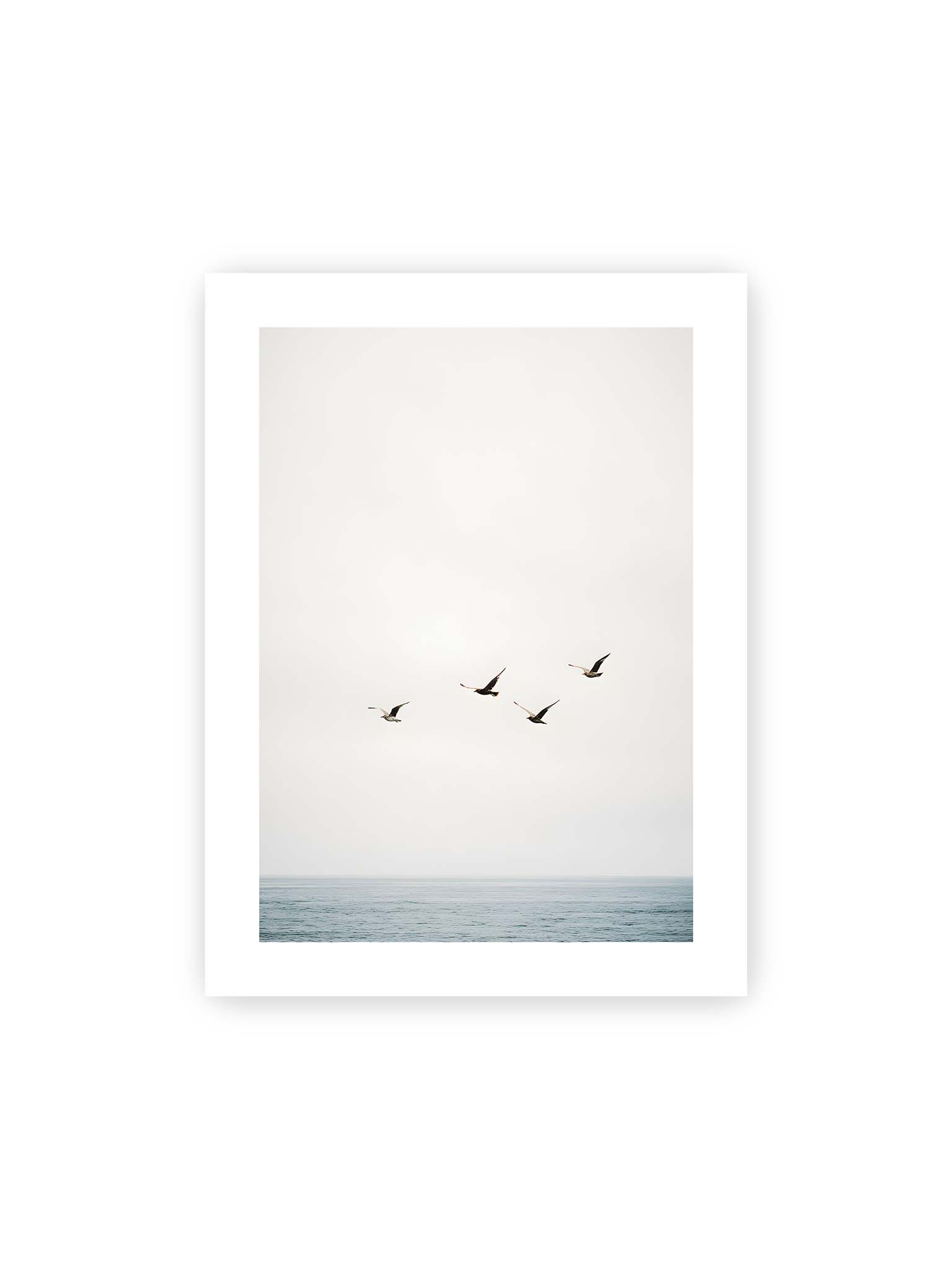 30x40 cm, weißer Galerie-Rand – Vier Vögel fliegen in Formation über ein ruhiges Meer unter einem weiten, hellen Himmel.