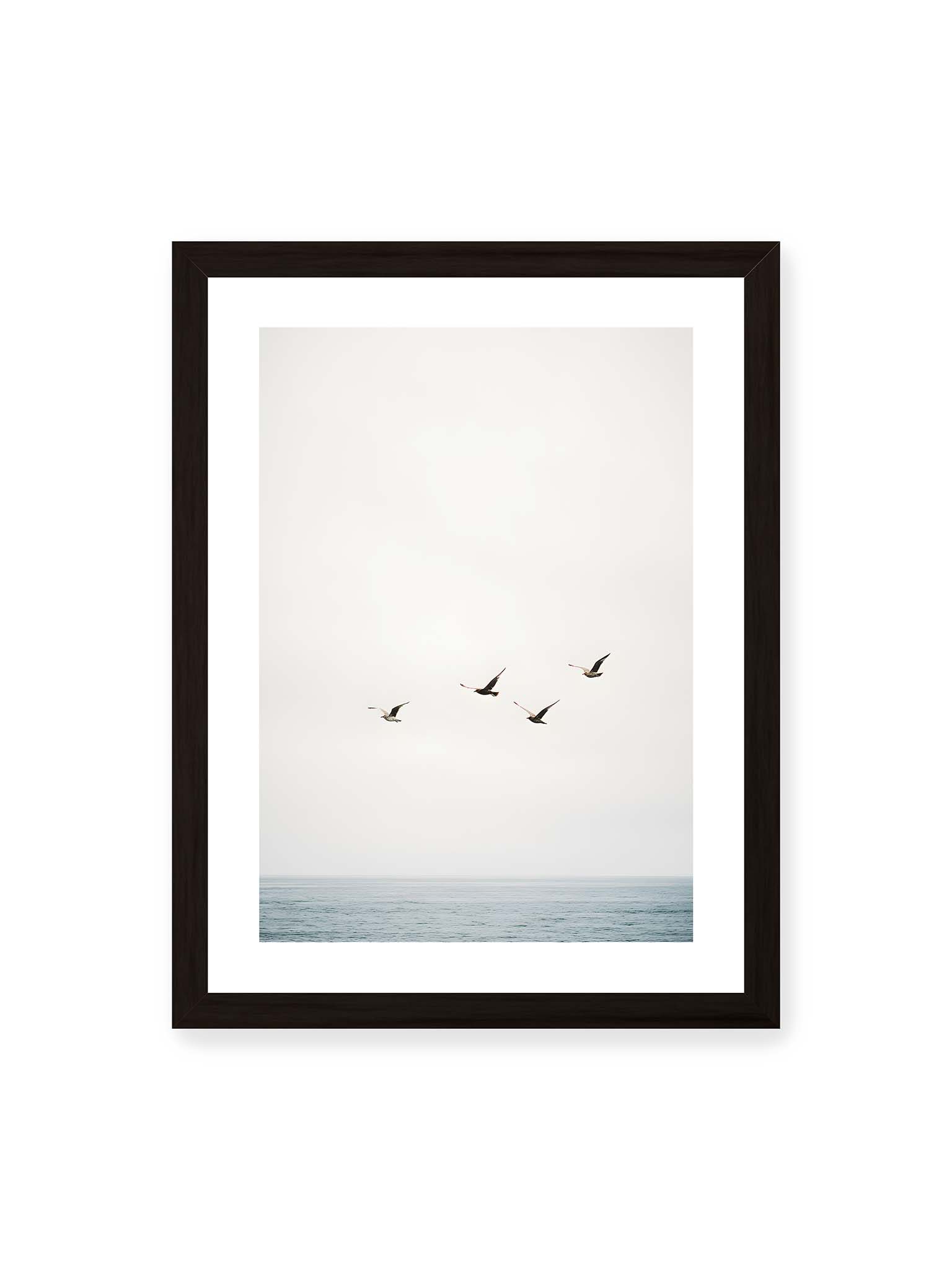 30x40 cm, weißer Galerie-Rand, schwarzer Rahmen – Vier Vögel fliegen in Formation über ein ruhiges Meer unter einem weiten, hellen Himmel.