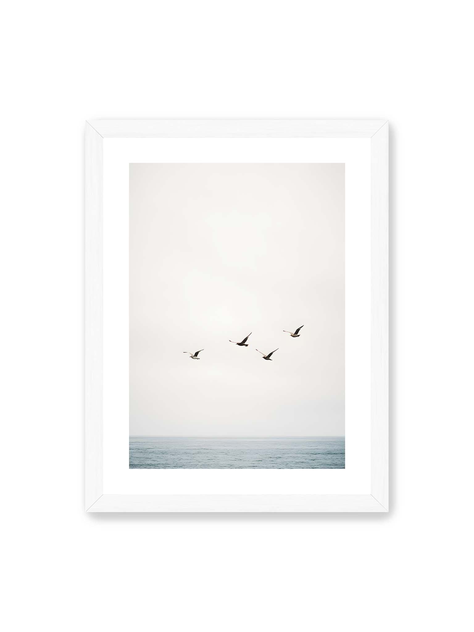 30x40 cm, weißer Galerie-Rand, weißer Rahmen – Vier Vögel fliegen in Formation über ein ruhiges Meer unter einem weiten, hellen Himmel.