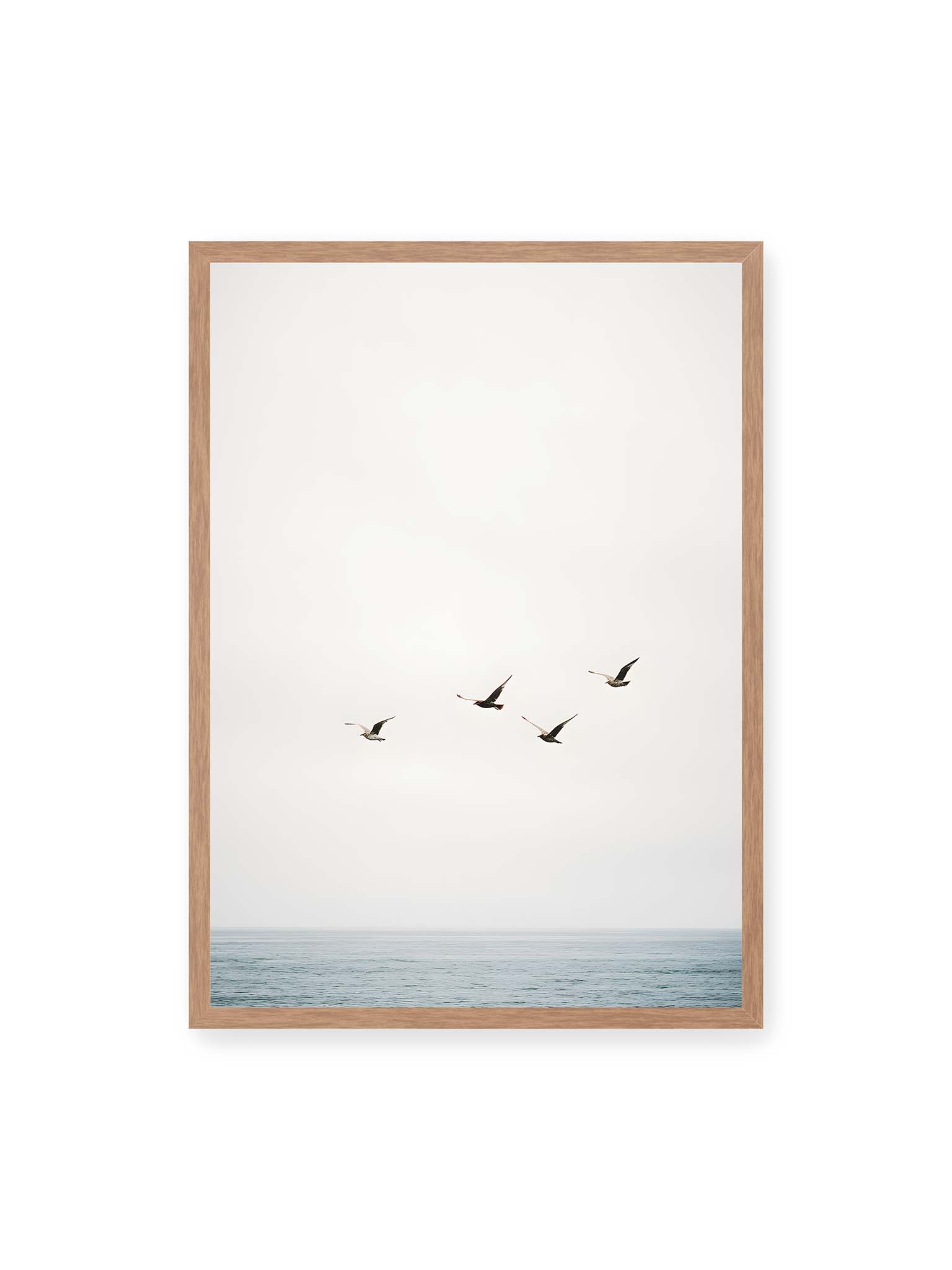 50x70 cm, Eichenrahmen – Vier Vögel fliegen in Formation über ein ruhiges Meer unter einem weiten, hellen Himmel.