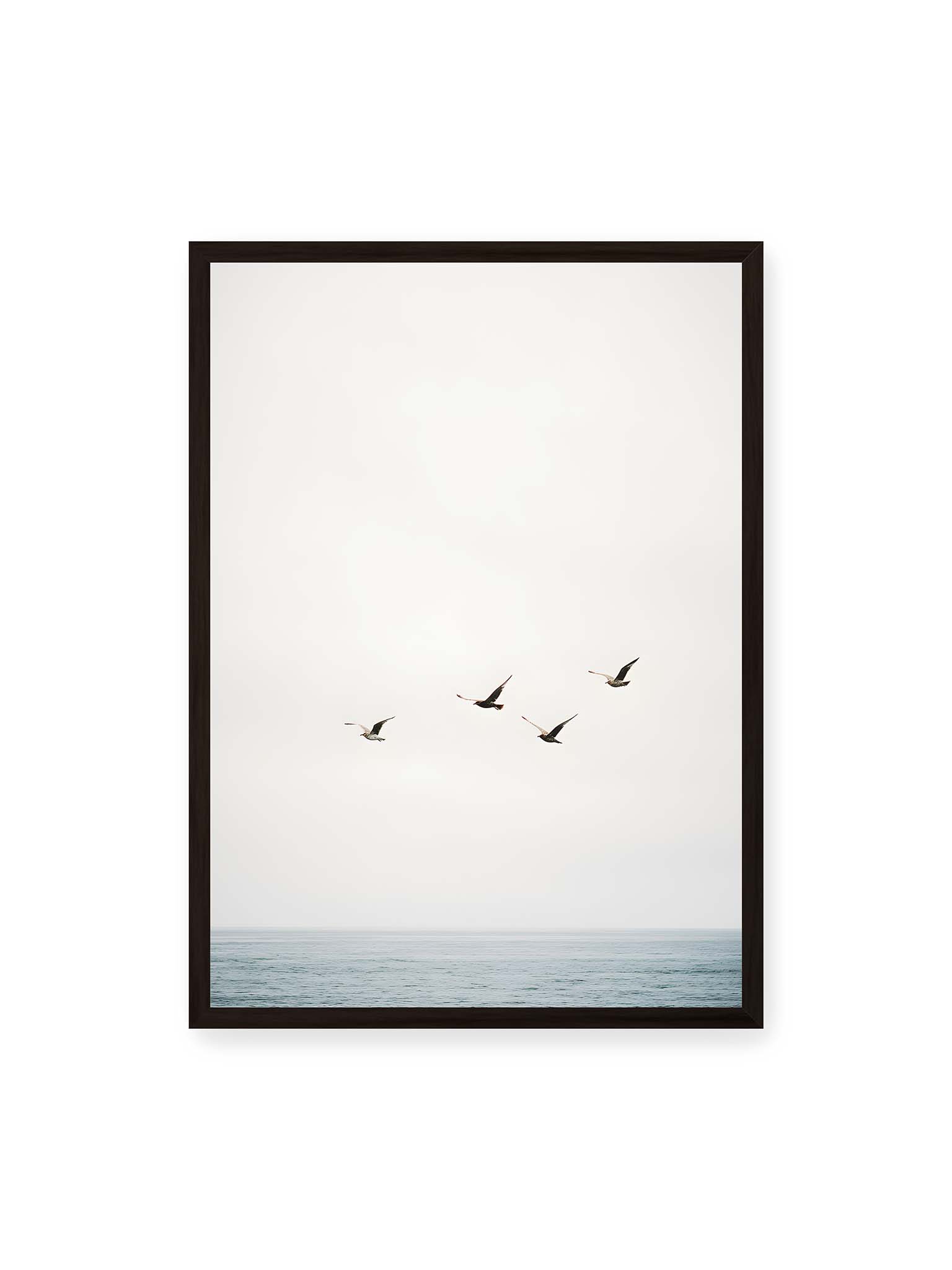 50x70 cm, schwarzer Rahmen – Vier Vögel fliegen in Formation über ein ruhiges Meer unter einem weiten, hellen Himmel.